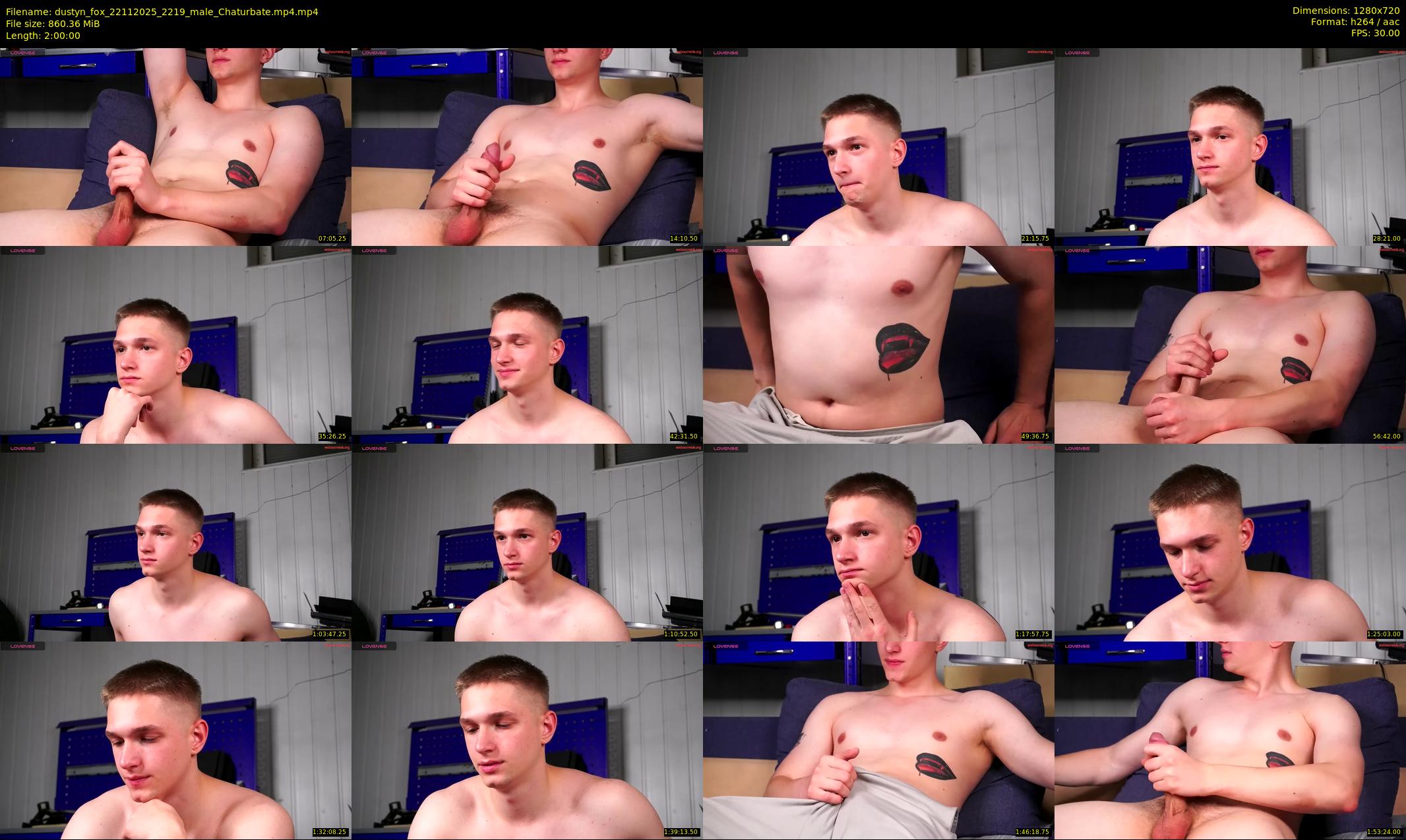 dustyn_fox — 120 minute Chaturbate male cam show recording, 720p, Nov 22, 2025