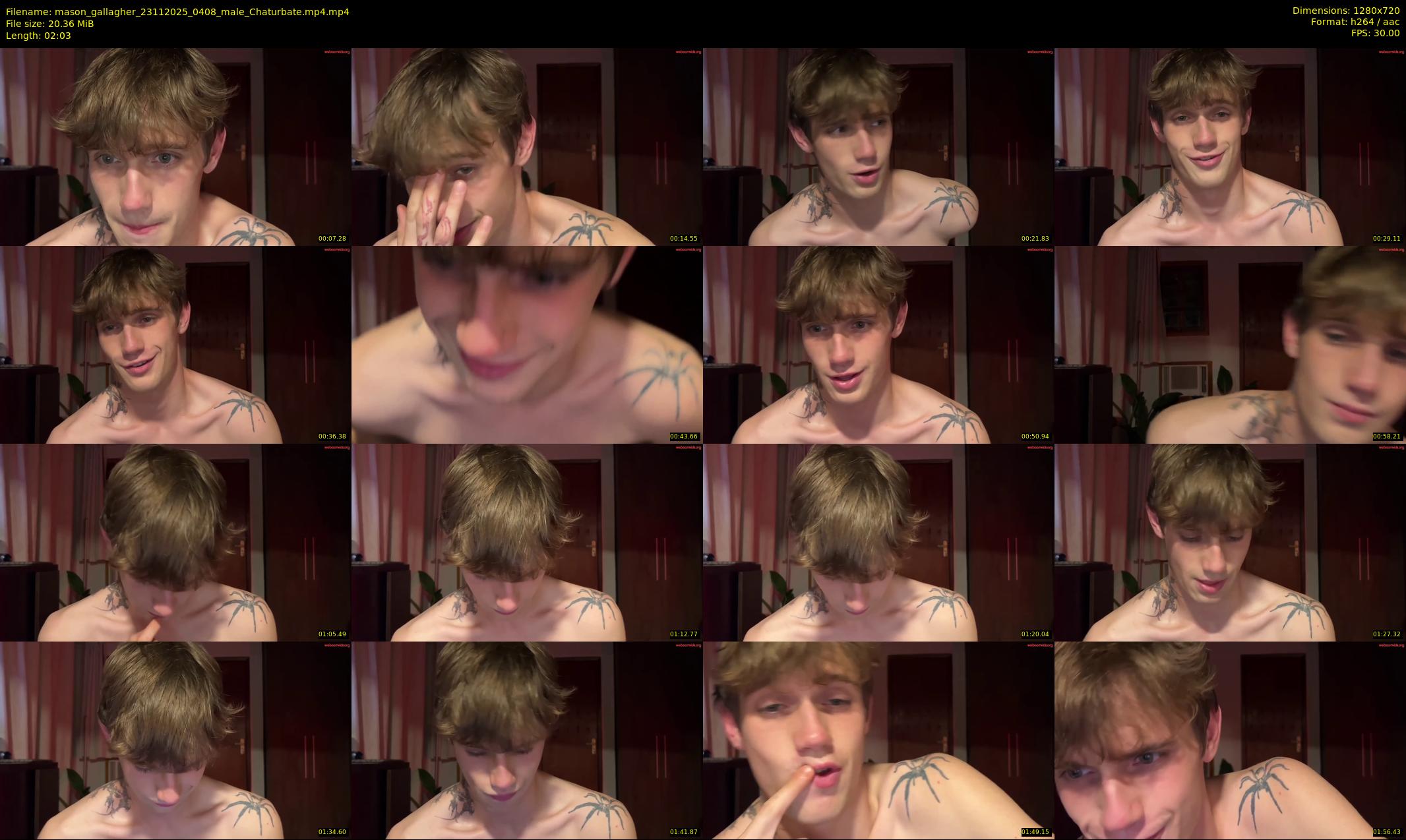 mason_gallagher — 3 minute Chaturbate male cam show recording, 720p, Nov 23, 2025