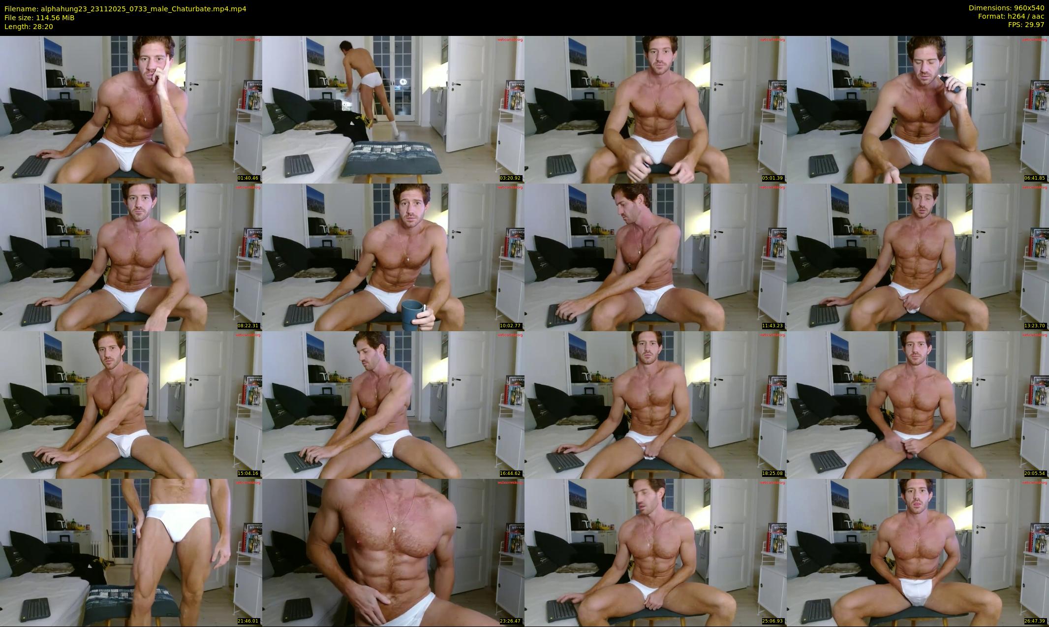 alphahung23 — 29 minute Chaturbate male cam show recording, 480p, Nov 23, 2025