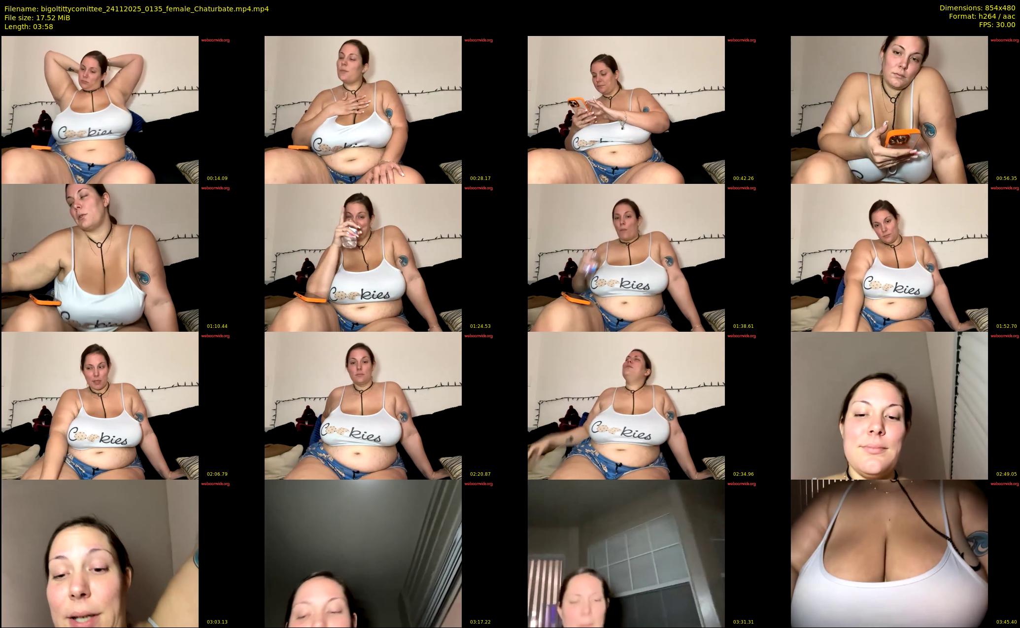 bigoltittycomittee — 4 minute Chaturbate female cam show recording, 480p, Nov 24, 2025