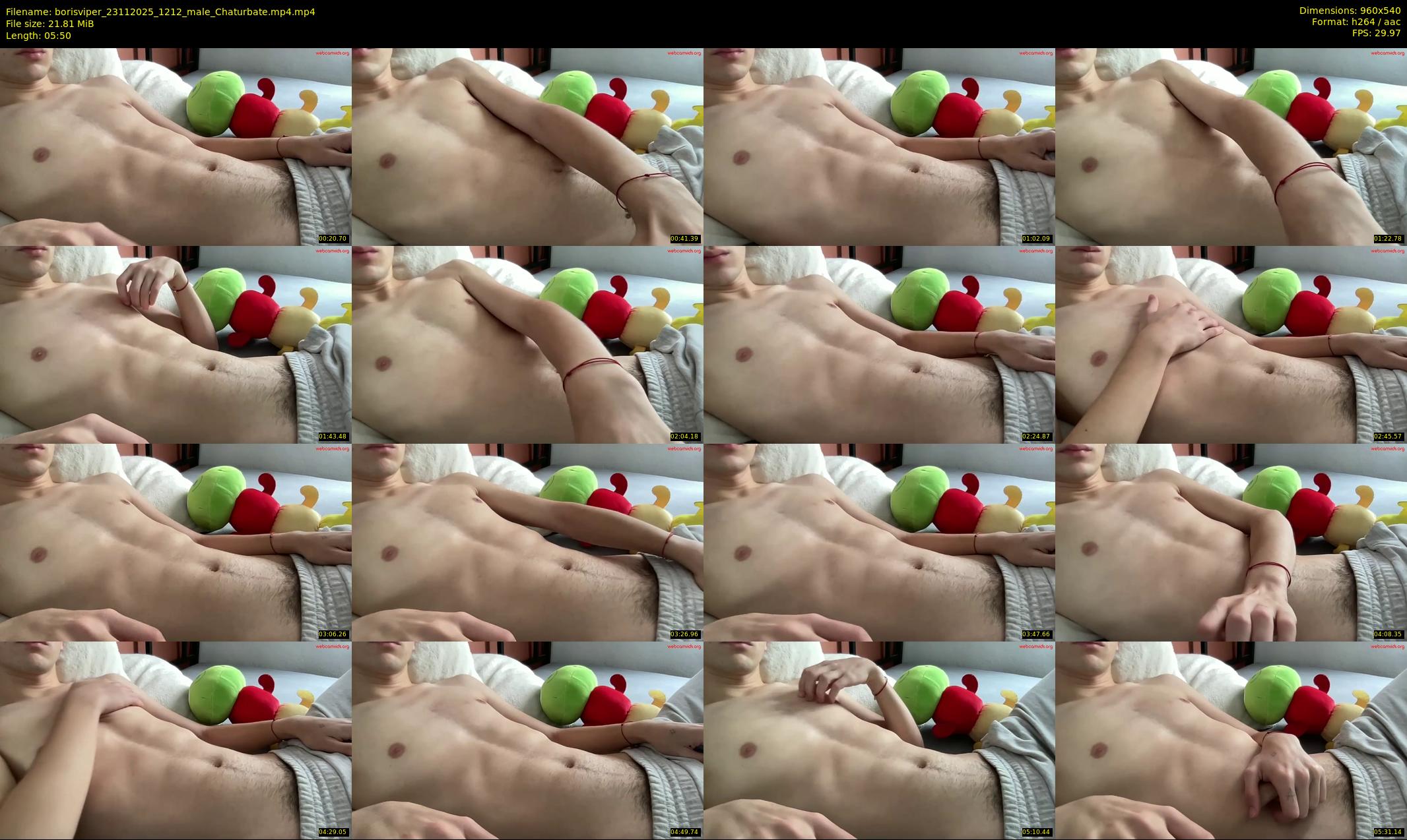 borisviper — 6 minute Chaturbate male cam show recording, 480p, Nov 23, 2025