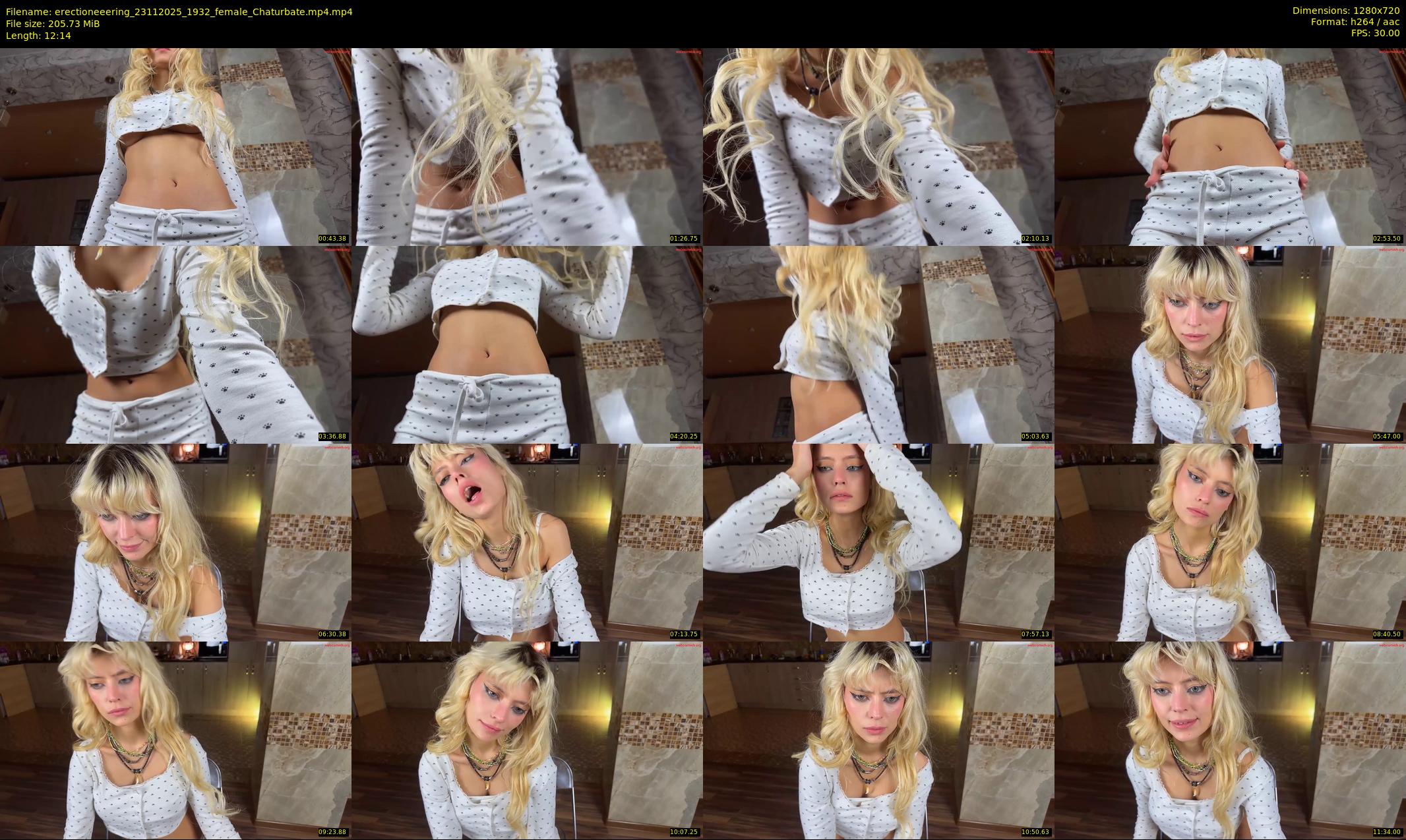 erectioneeering — 13 minute Chaturbate female cam show recording, 720p, Nov 23, 2025