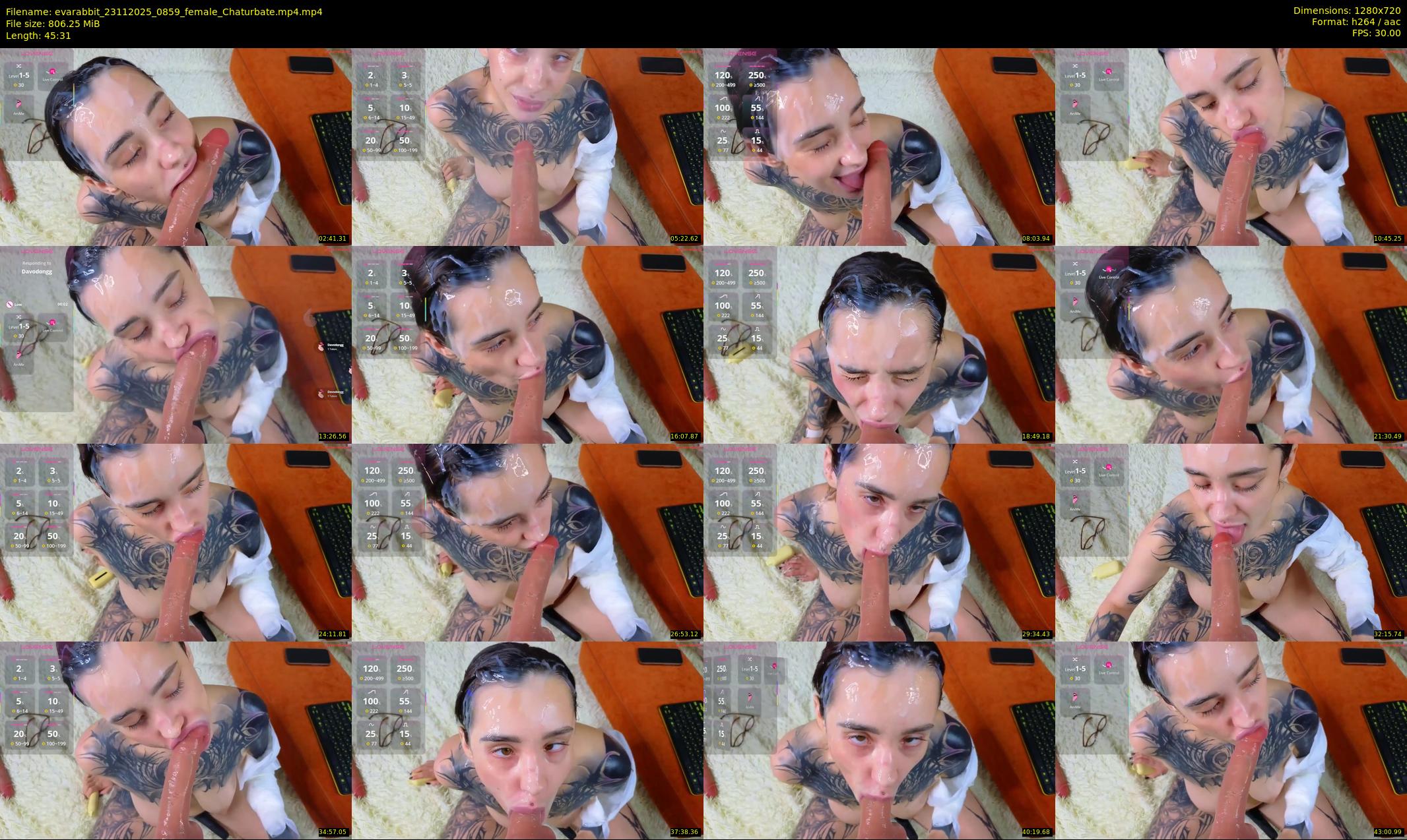 evarabbit — 46 minute Chaturbate female cam show recording, 720p, Nov 23, 2025