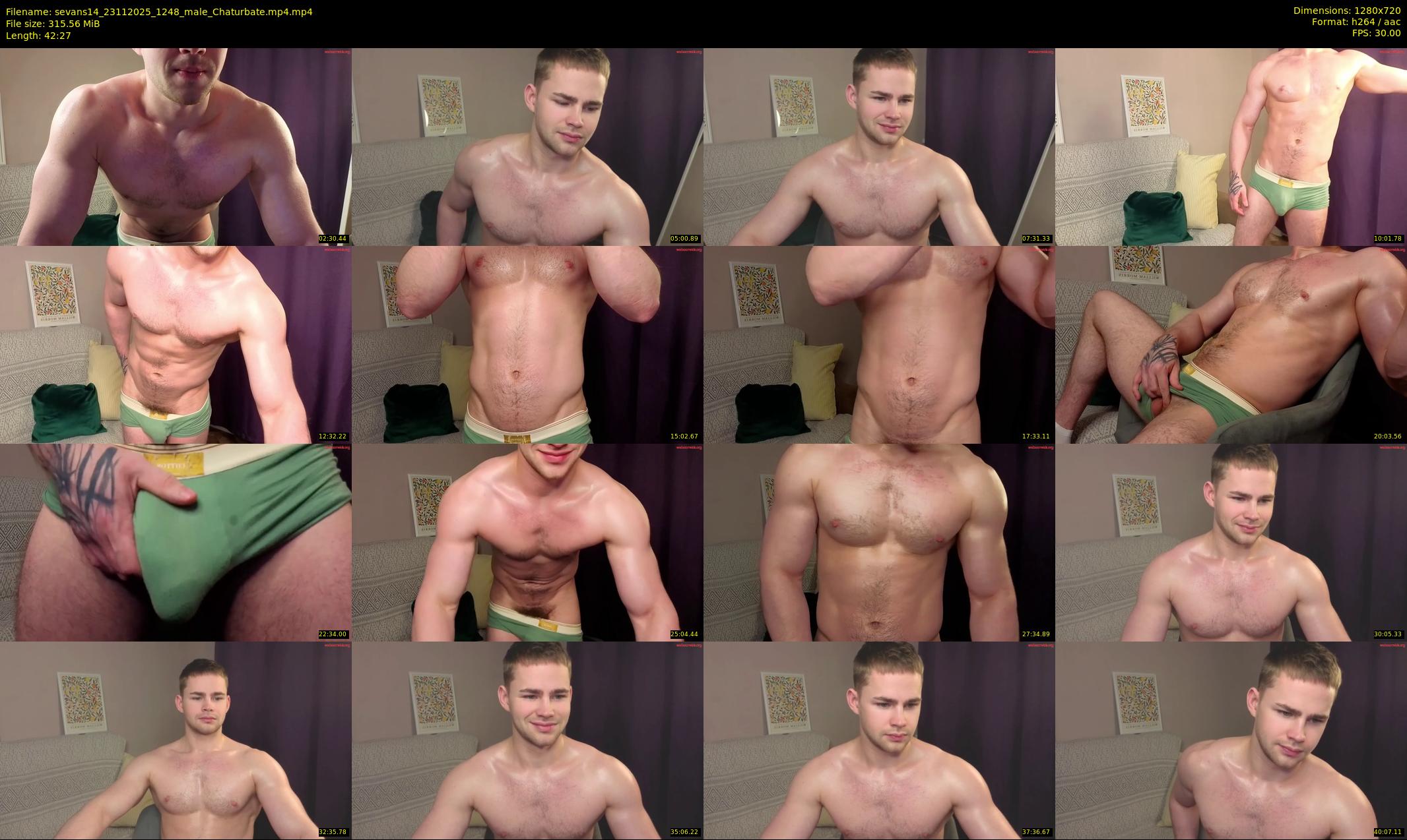 sevans14 — 43 minute Chaturbate male cam show recording, 720p, Nov 23, 2025