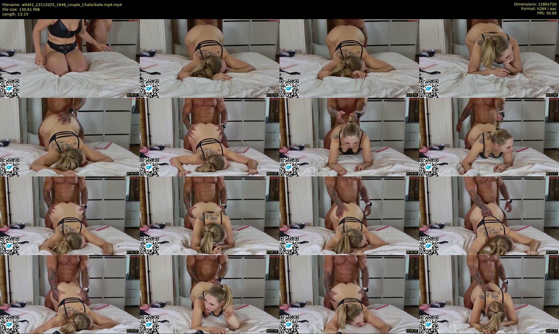 wild41 — 14 minute Chaturbate couple cam show recording, 720p, Nov 23, 2025