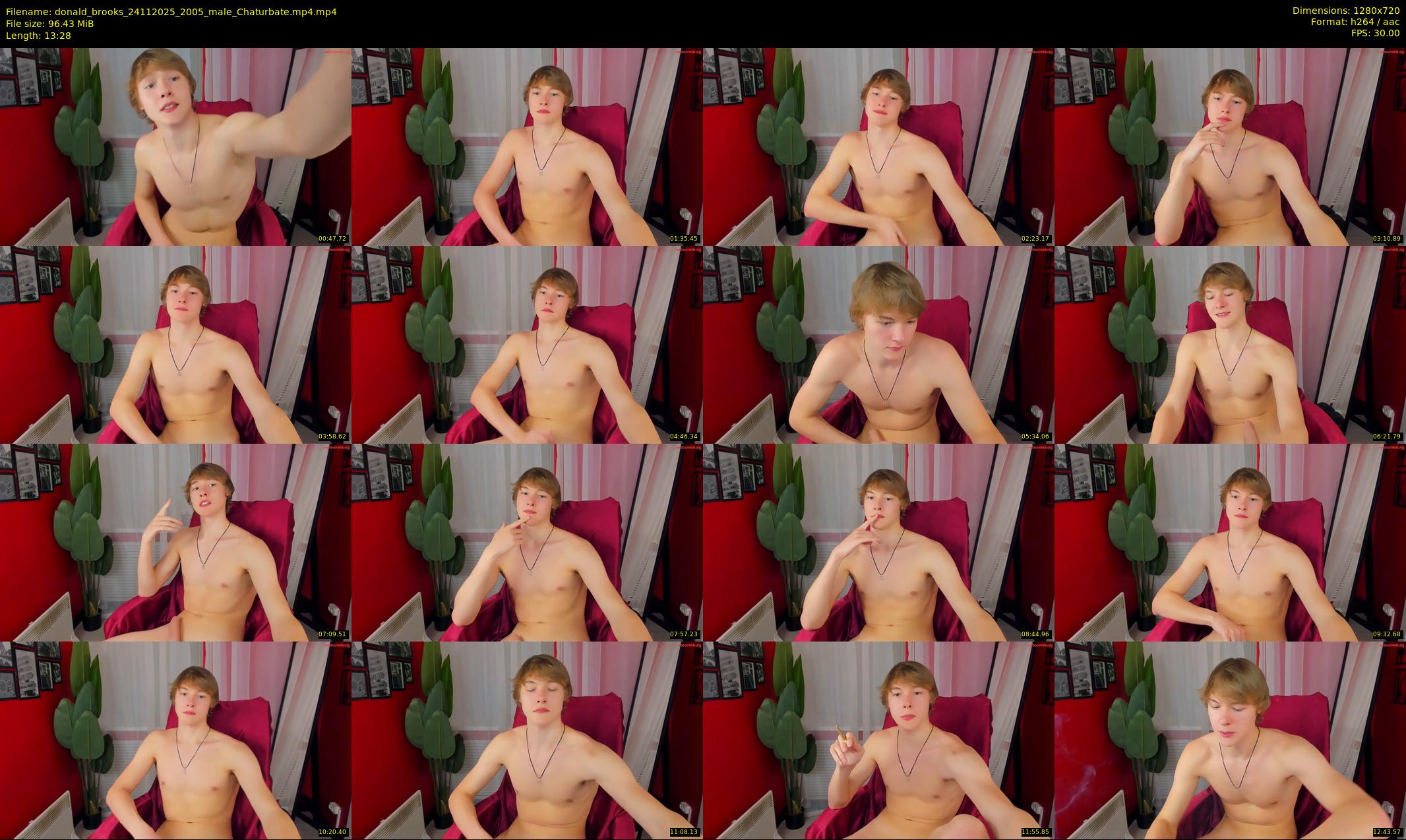 donald_brooks — 14 minute Chaturbate male cam show recording, 720p, Nov 24, 2025