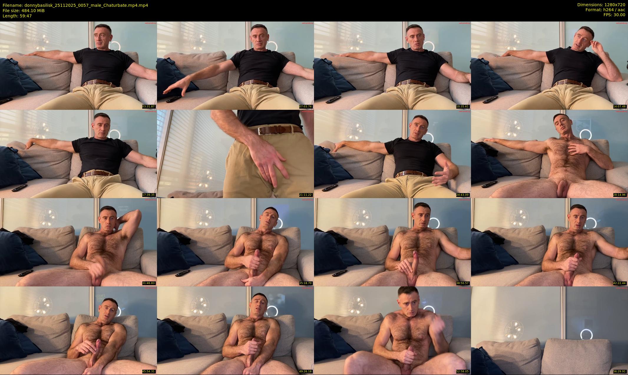 donnybasilisk — 60 minute Chaturbate male cam show recording, 720p, Nov 25, 2025
