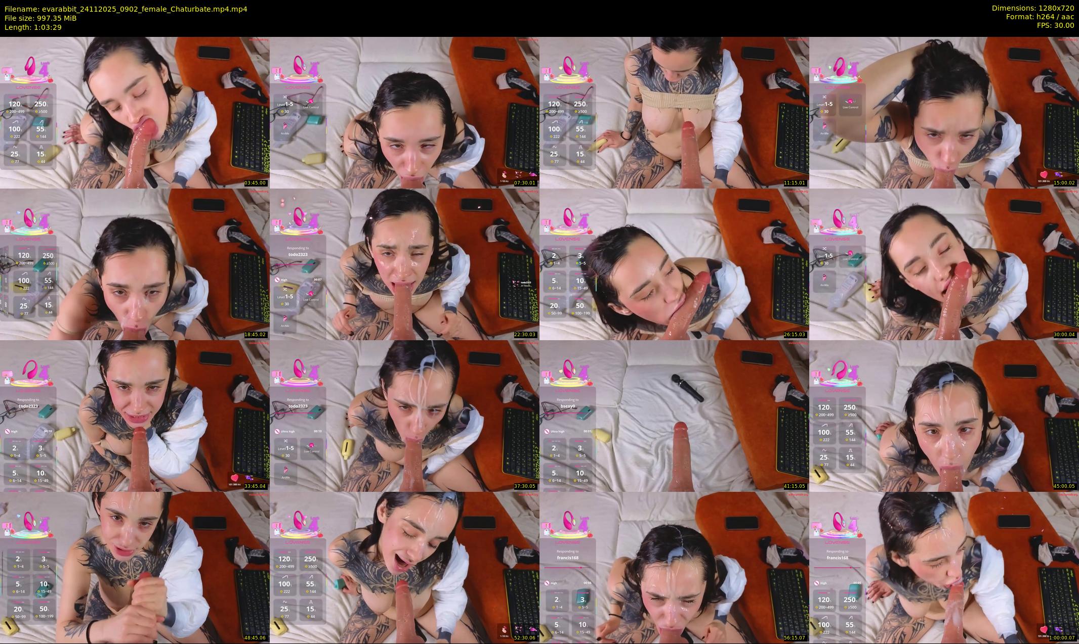 evarabbit — 64 minute Chaturbate female cam show recording, 720p, Nov 24, 2025