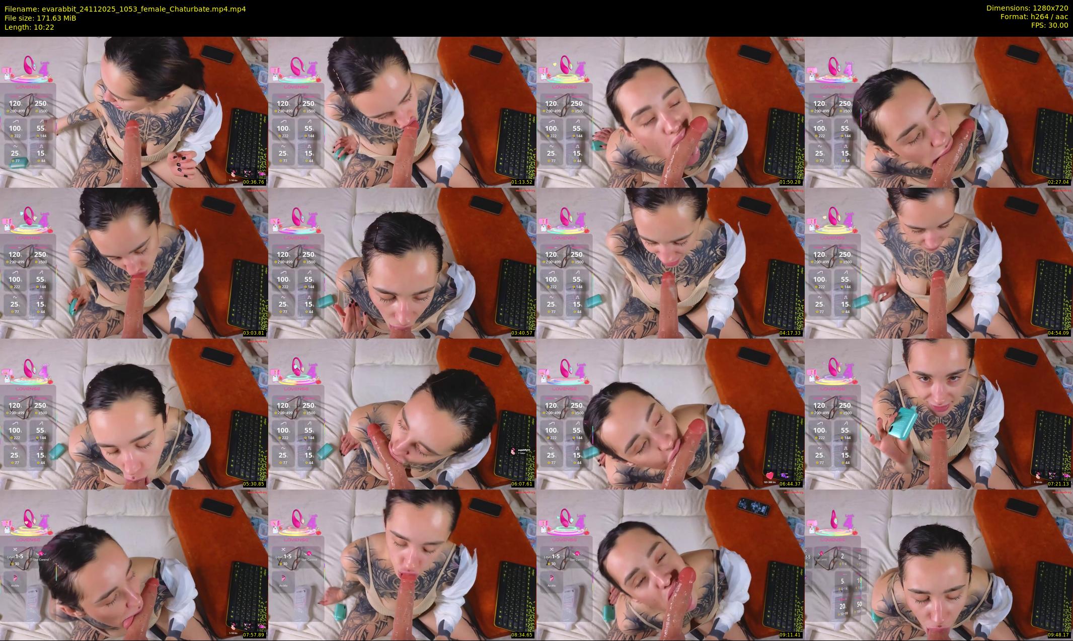evarabbit — 11 minute Chaturbate female cam show recording, 720p, Nov 24, 2025