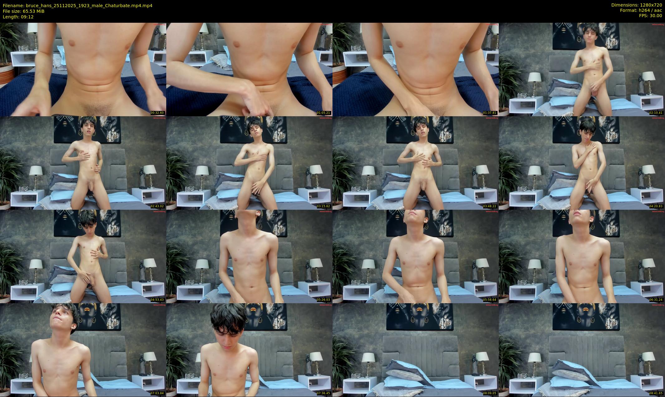 bruce_hans — 10 minute Chaturbate male cam show recording, 720p, Nov 25, 2025