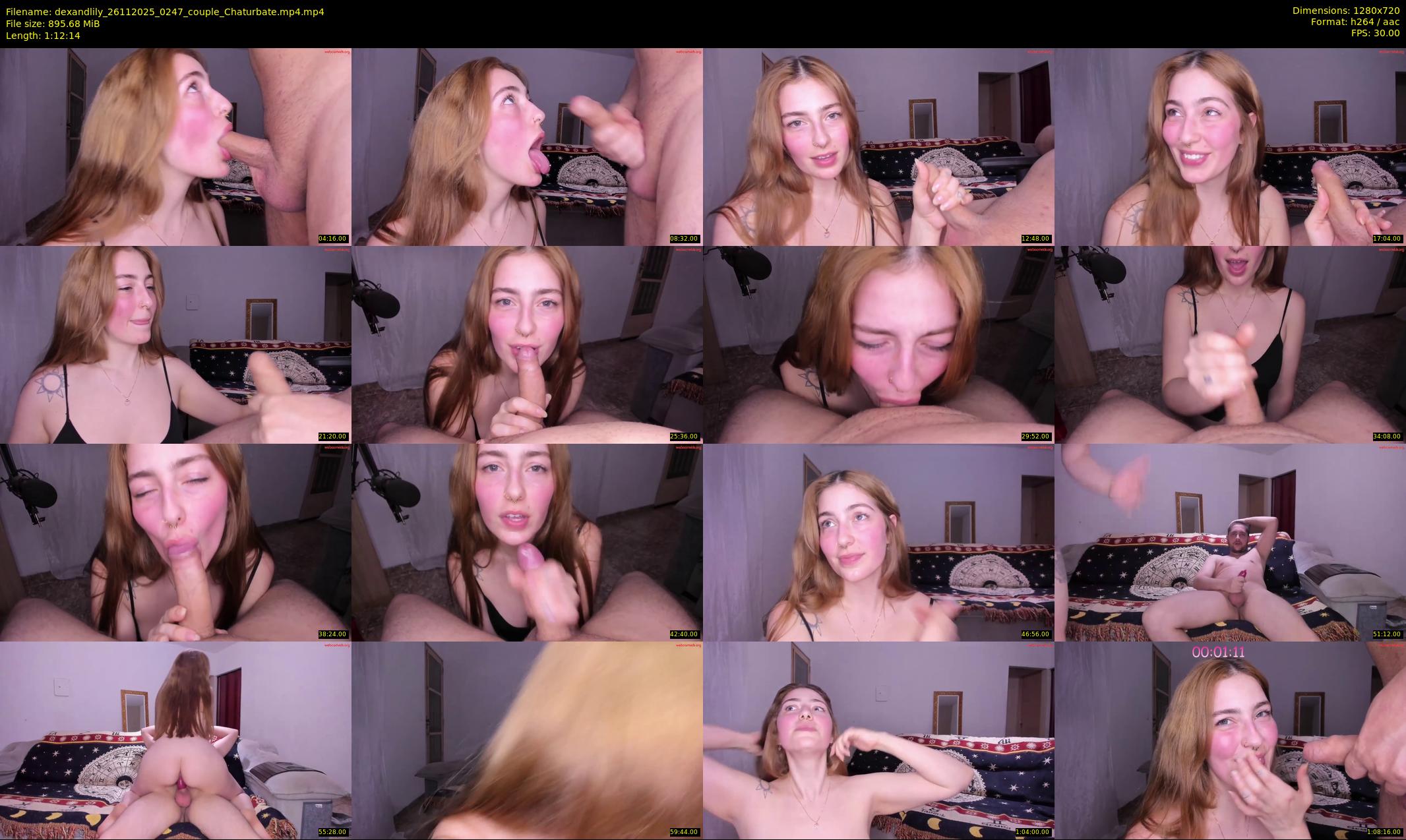 dexandlily — 73 minute Chaturbate couple cam show recording, 720p, Nov 26, 2025