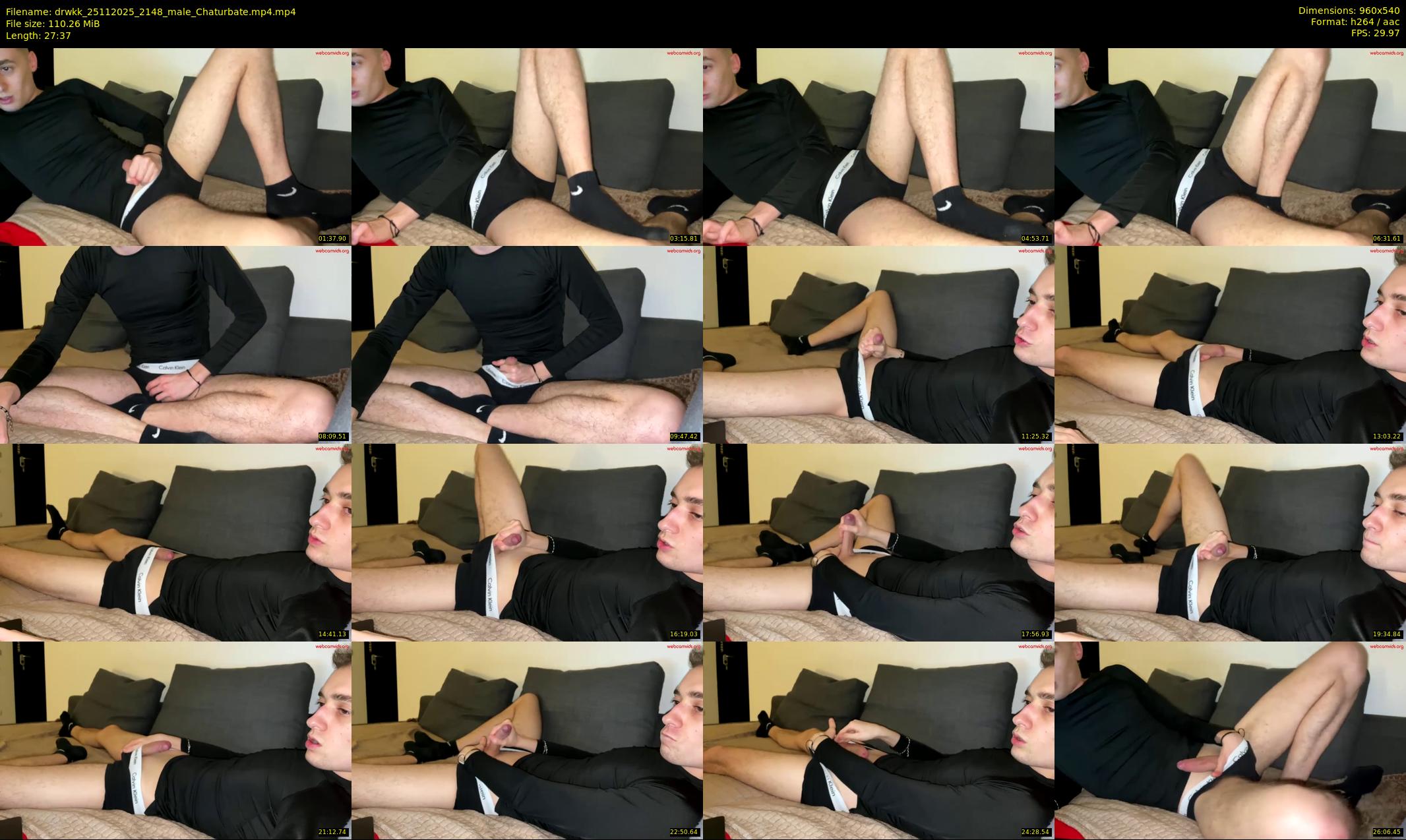 drwkk — 28 minute Chaturbate male cam show recording, 480p, Nov 25, 2025