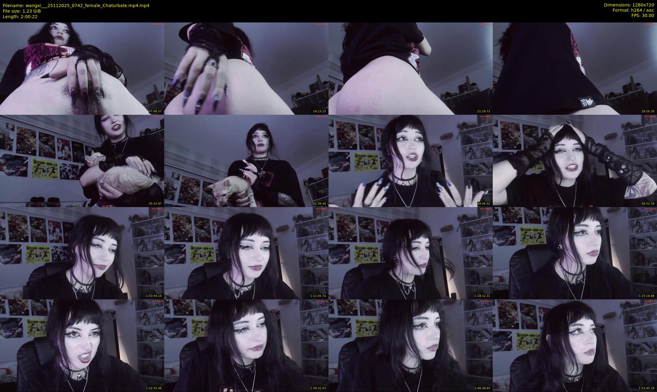 wangxi__ — 121 minute Chaturbate female cam show recording, 720p, Nov 25, 2025