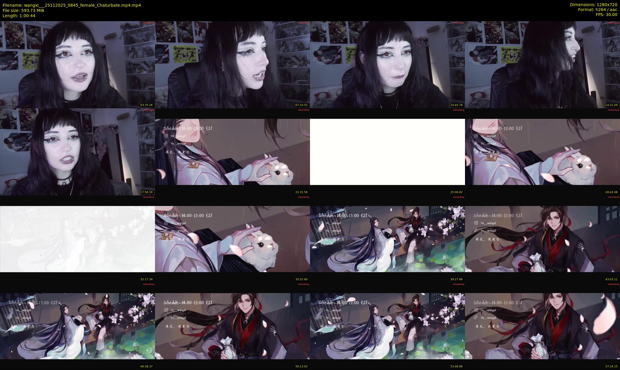 wangxi__ — 61 minute Chaturbate female cam show recording, 720p, Nov 25, 2025