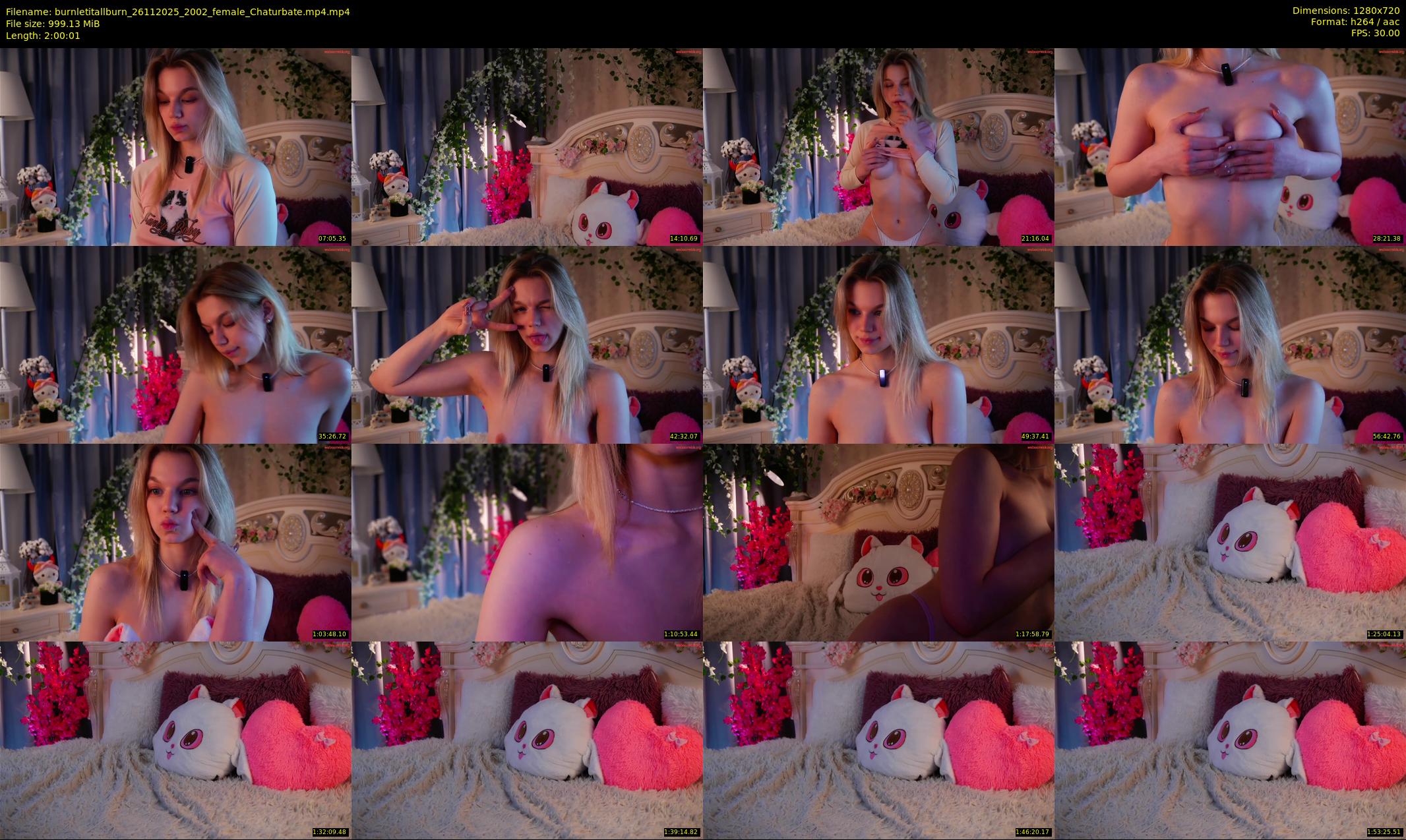 burnletitallburn — 121 minute Chaturbate female cam show recording, 720p, Nov 26, 2025
