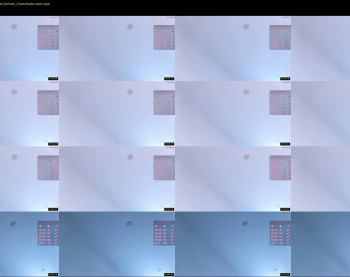 byteblush — 26 minute Chaturbate female cam show recording, 720p, Nov 26, 2025