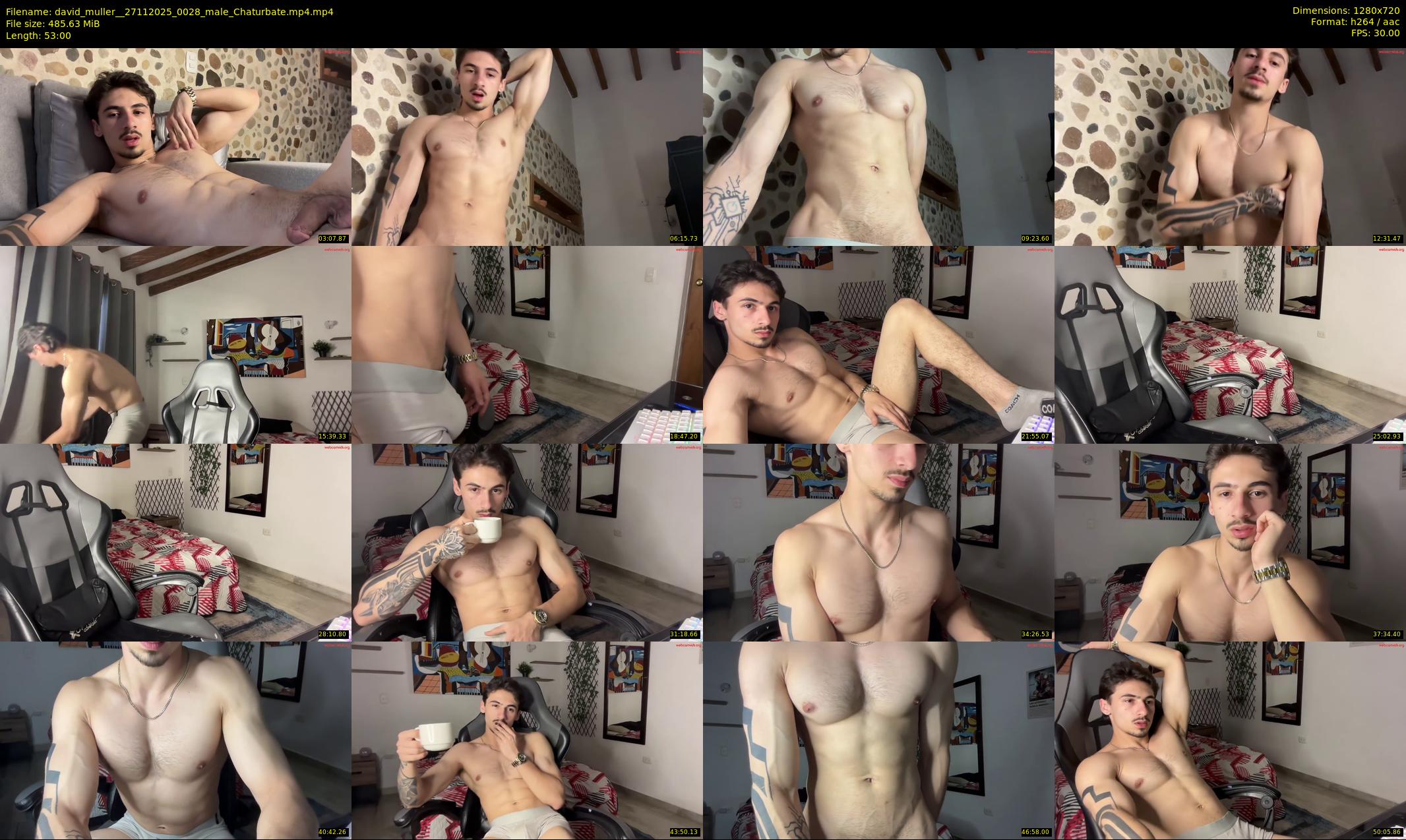 david_muller_ — 53 minute Chaturbate male cam show recording, 720p, Nov 27, 2025