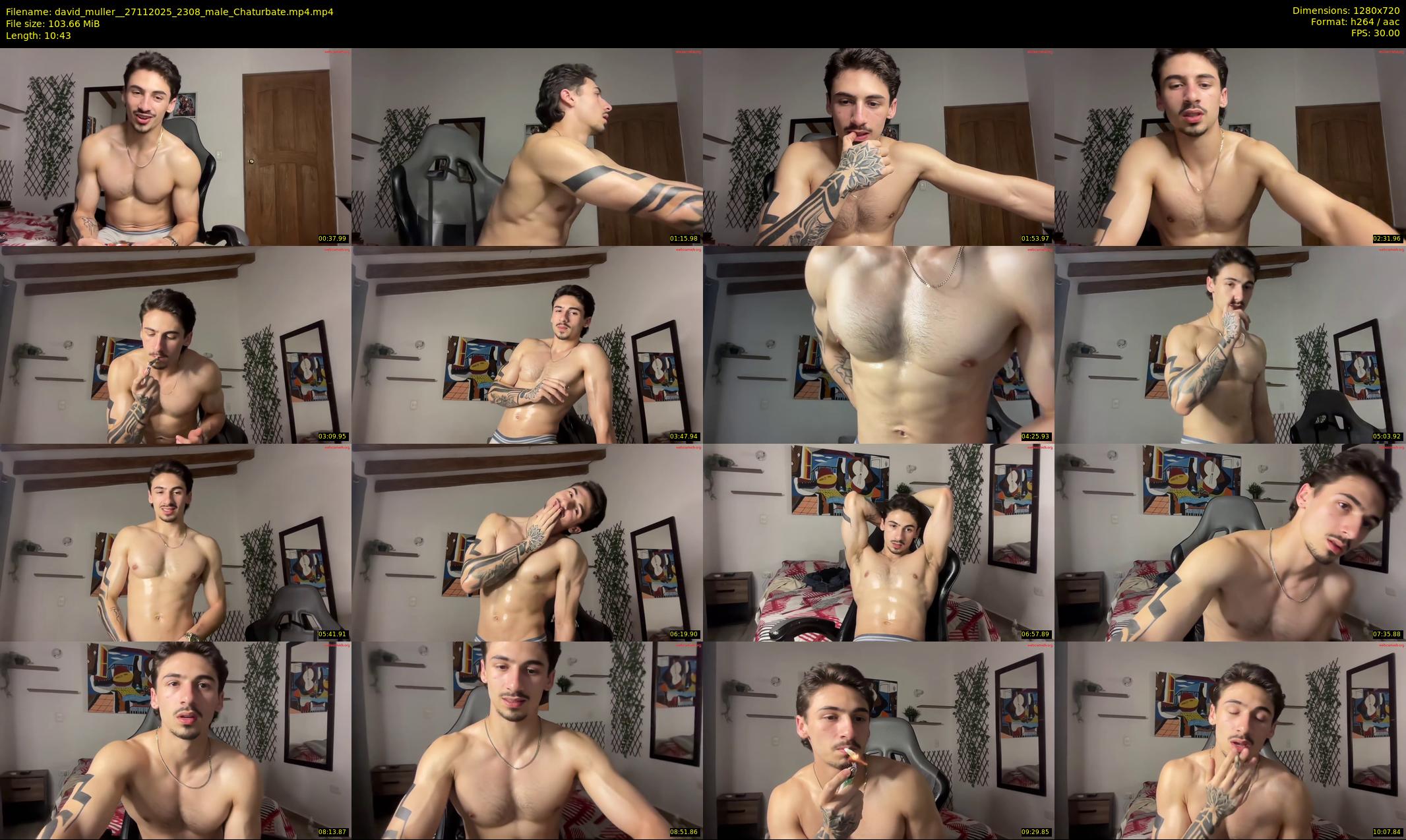 david_muller_ — 11 minute Chaturbate male cam show recording, 720p, Nov 27, 2025
