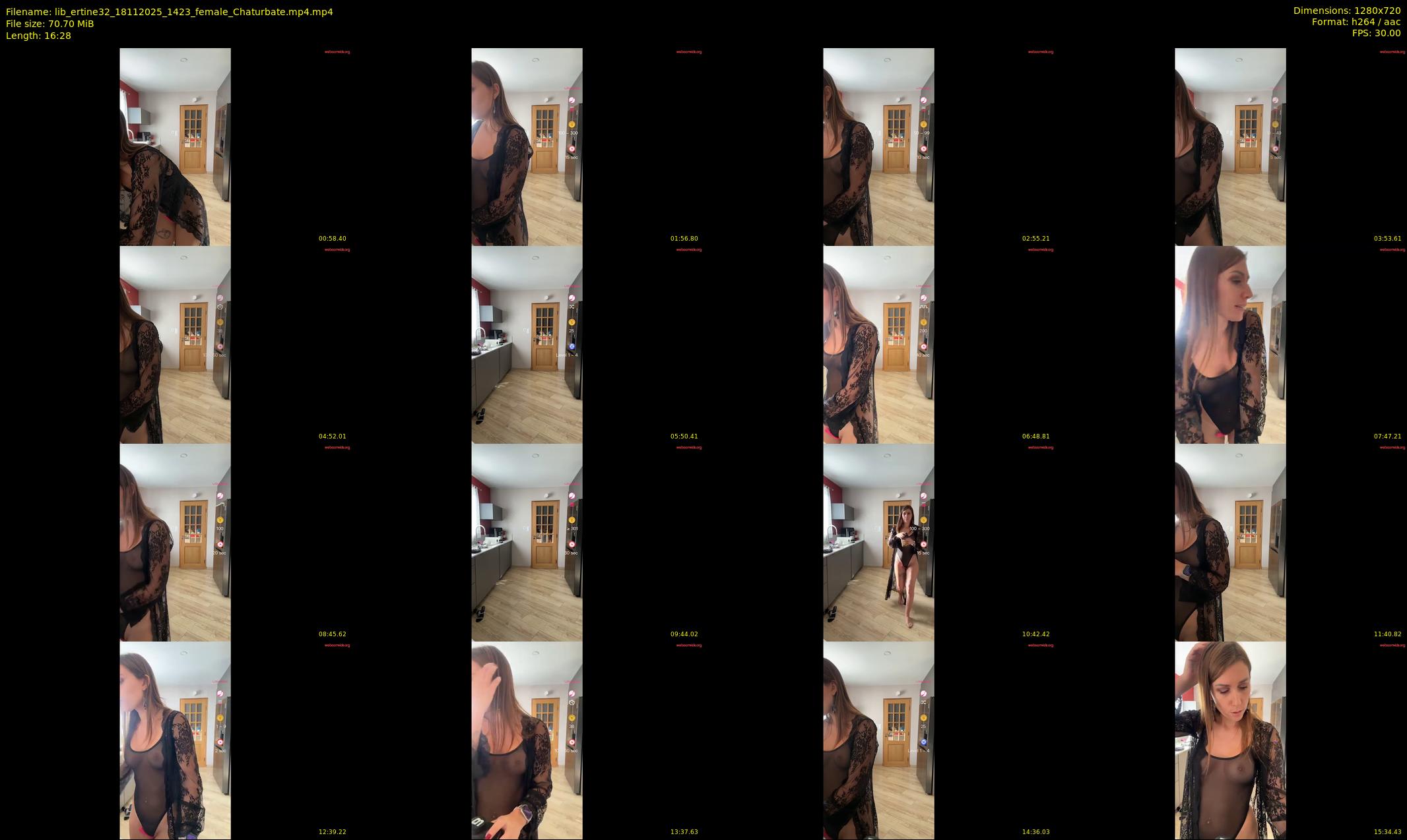 lib_ertine32 — 17 minute Chaturbate female cam show recording, 720p, Nov 18, 2025
