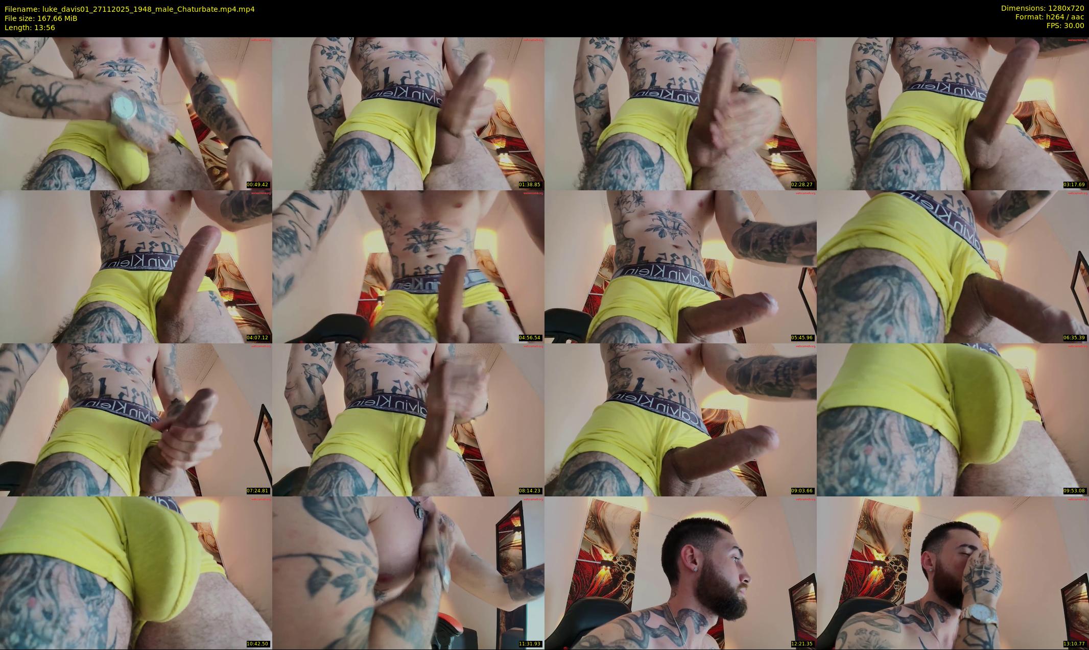 luke_davis01 — 14 minute Chaturbate male cam show recording, 720p, Nov 27, 2025