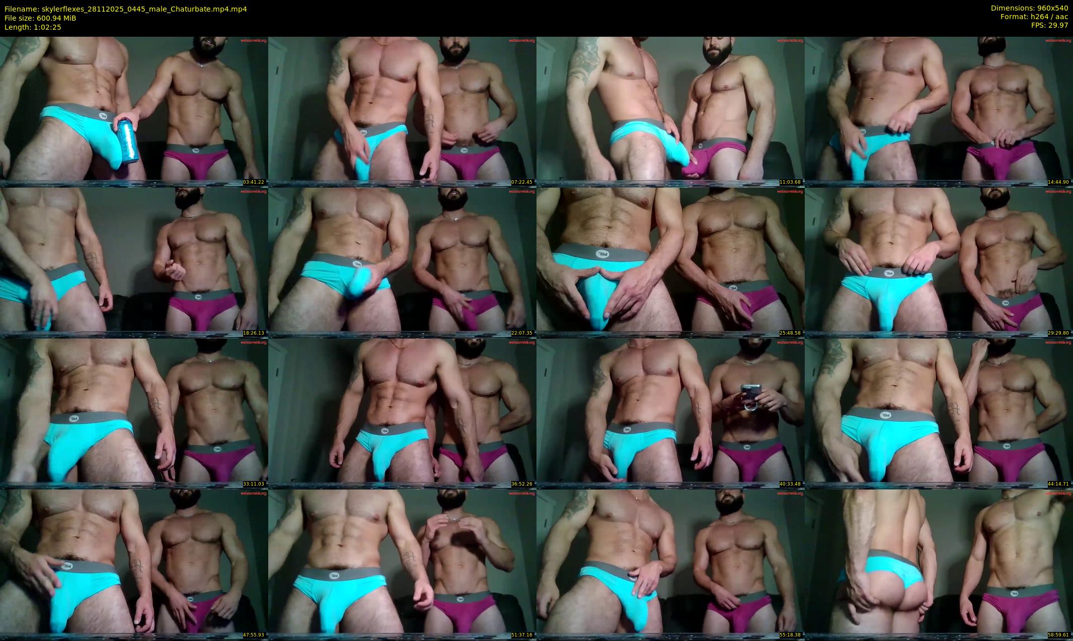 skylerflexes — 63 minute Chaturbate male cam show recording, 480p, Nov 28, 2025