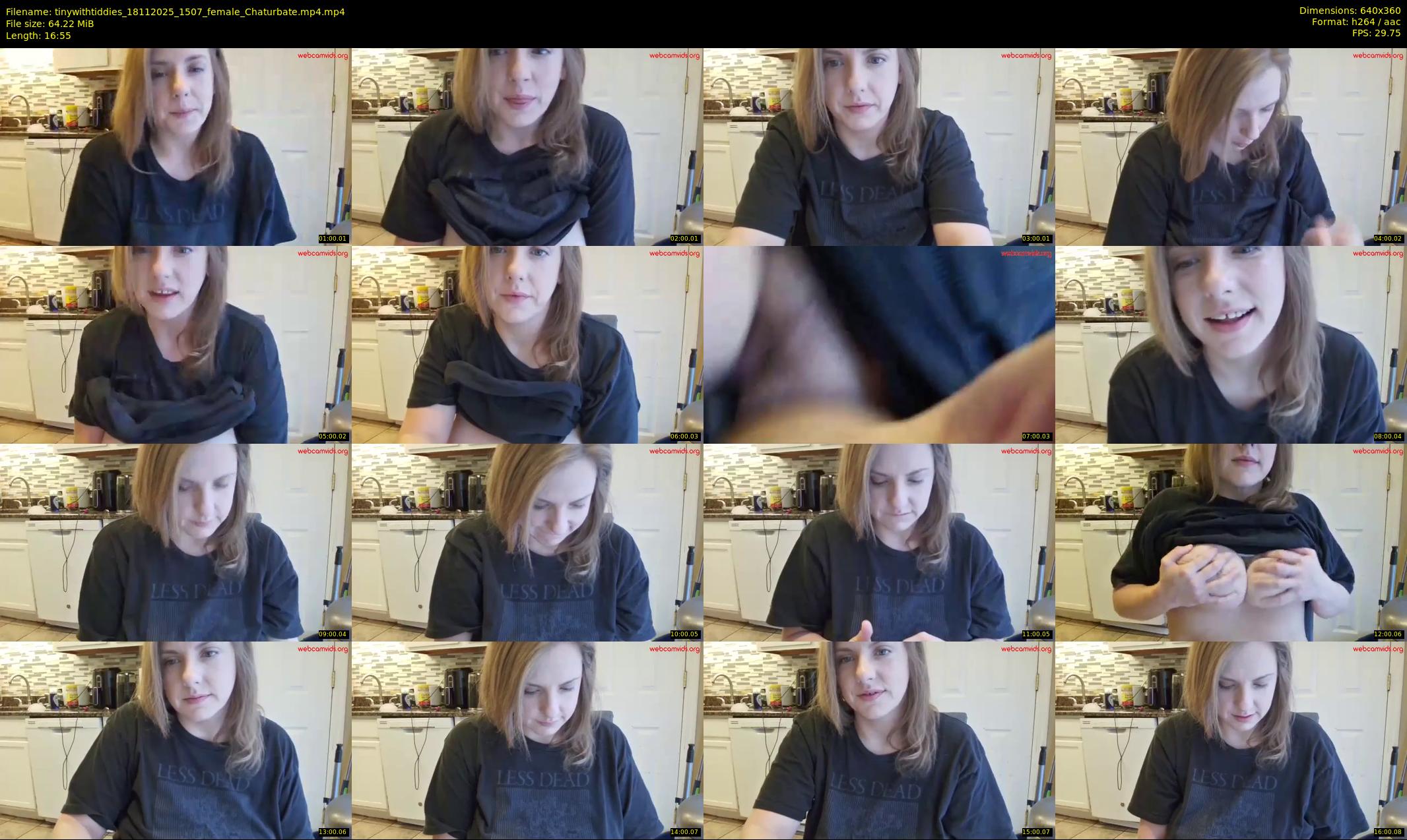 tinywithtiddies — 17 minute Chaturbate female cam show recording, 360p, Nov 18, 2025