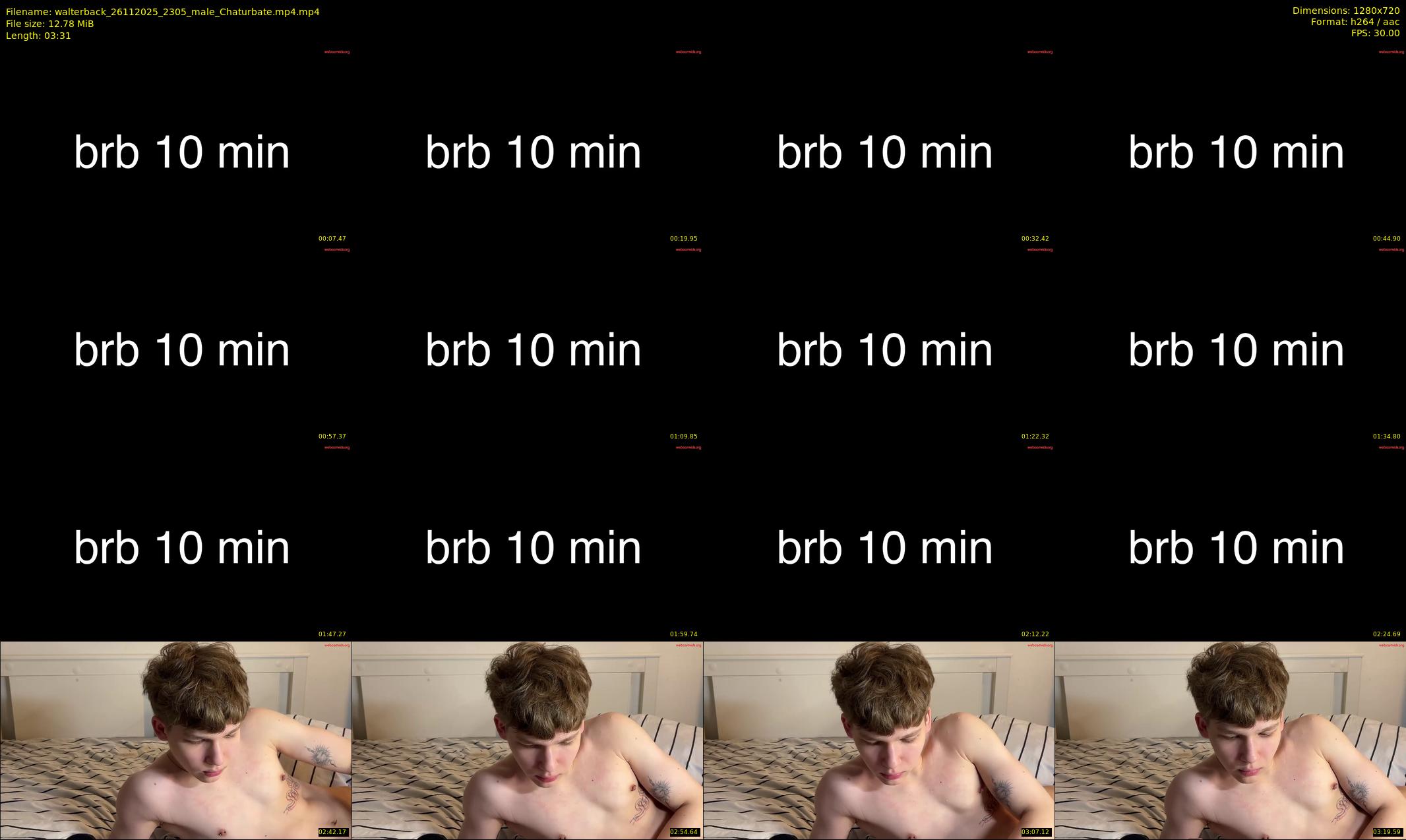walterback — 4 minute Chaturbate male cam show recording, 720p, Nov 26, 2025