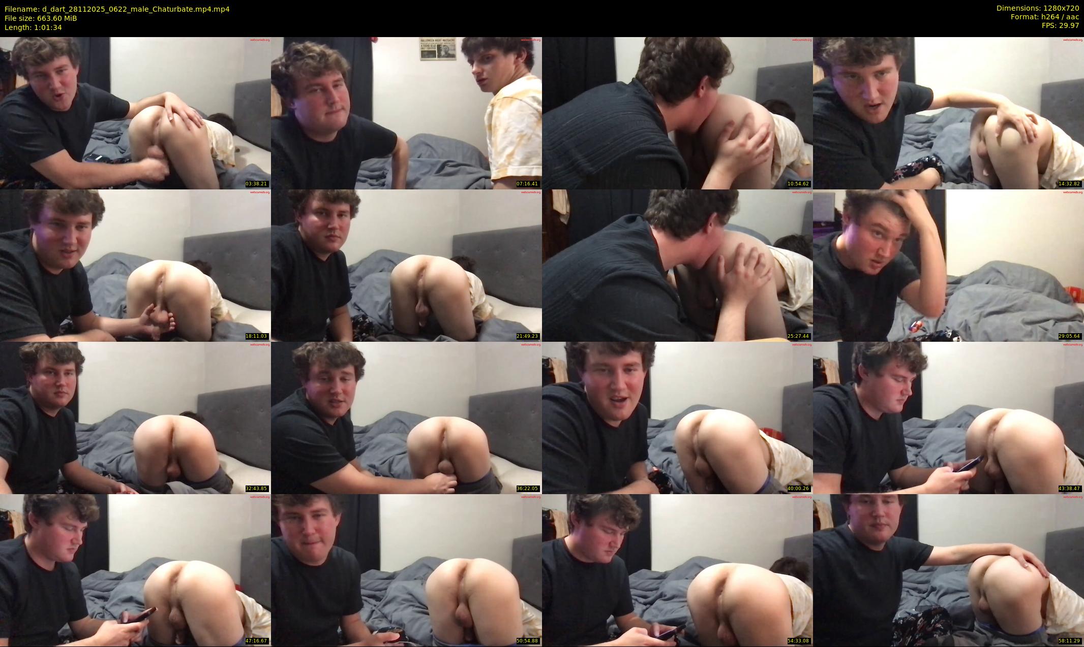 d_dart — 62 minute Chaturbate male cam show recording, 720p, Nov 28, 2025