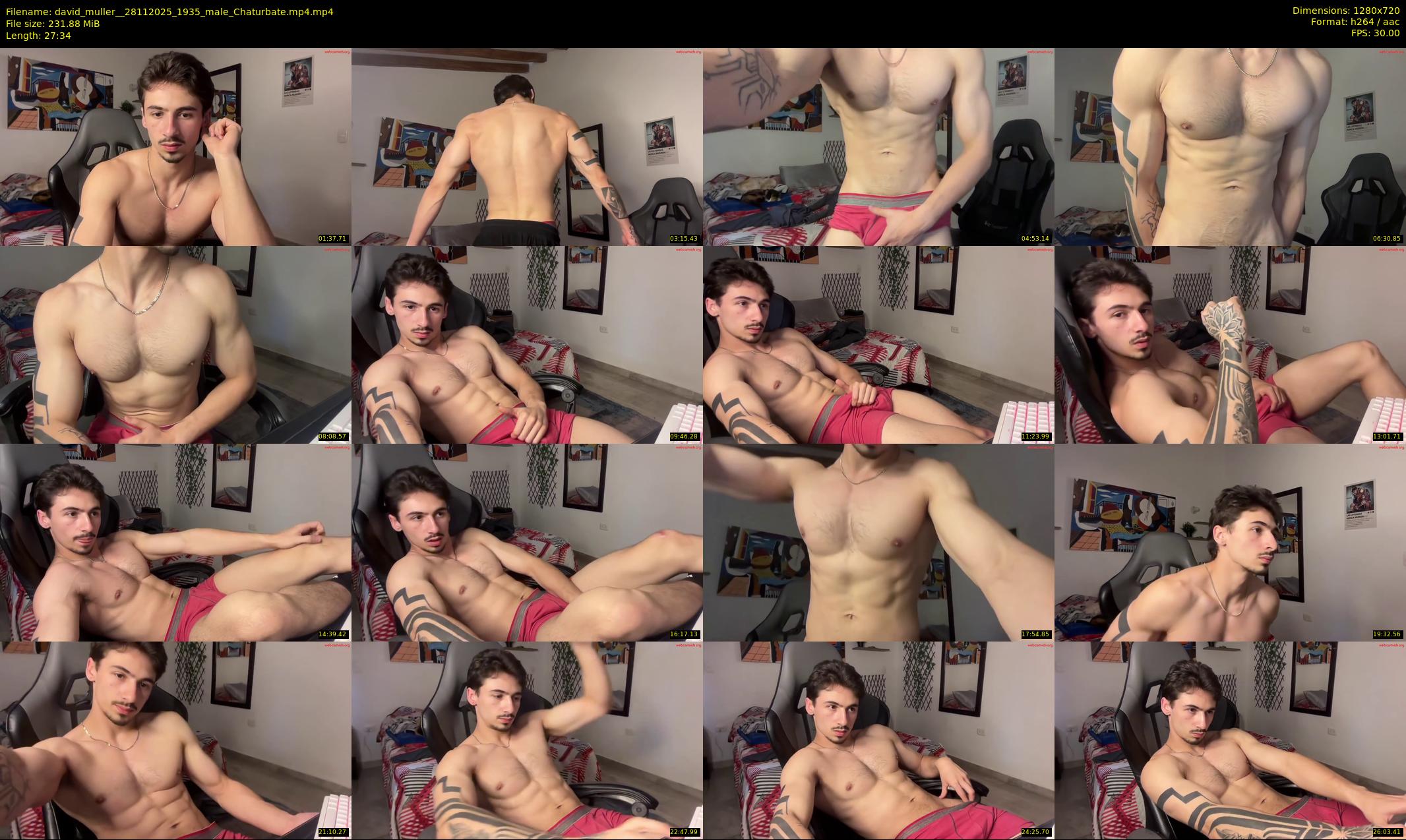 david_muller_ — 28 minute Chaturbate male cam show recording, 720p, Nov 28, 2025