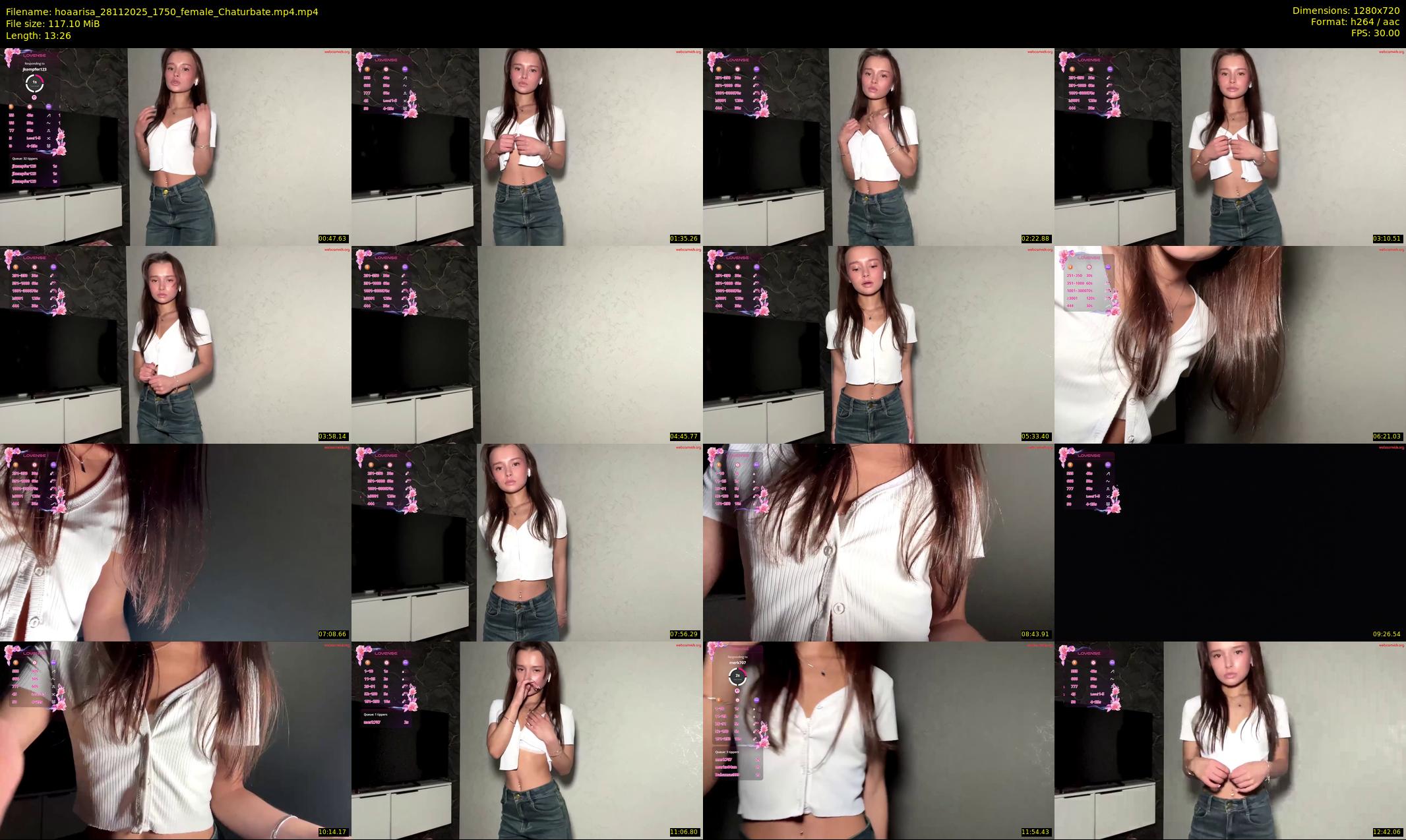 hoaarisa — 14 minute Chaturbate female cam show recording, 720p, Nov 28, 2025