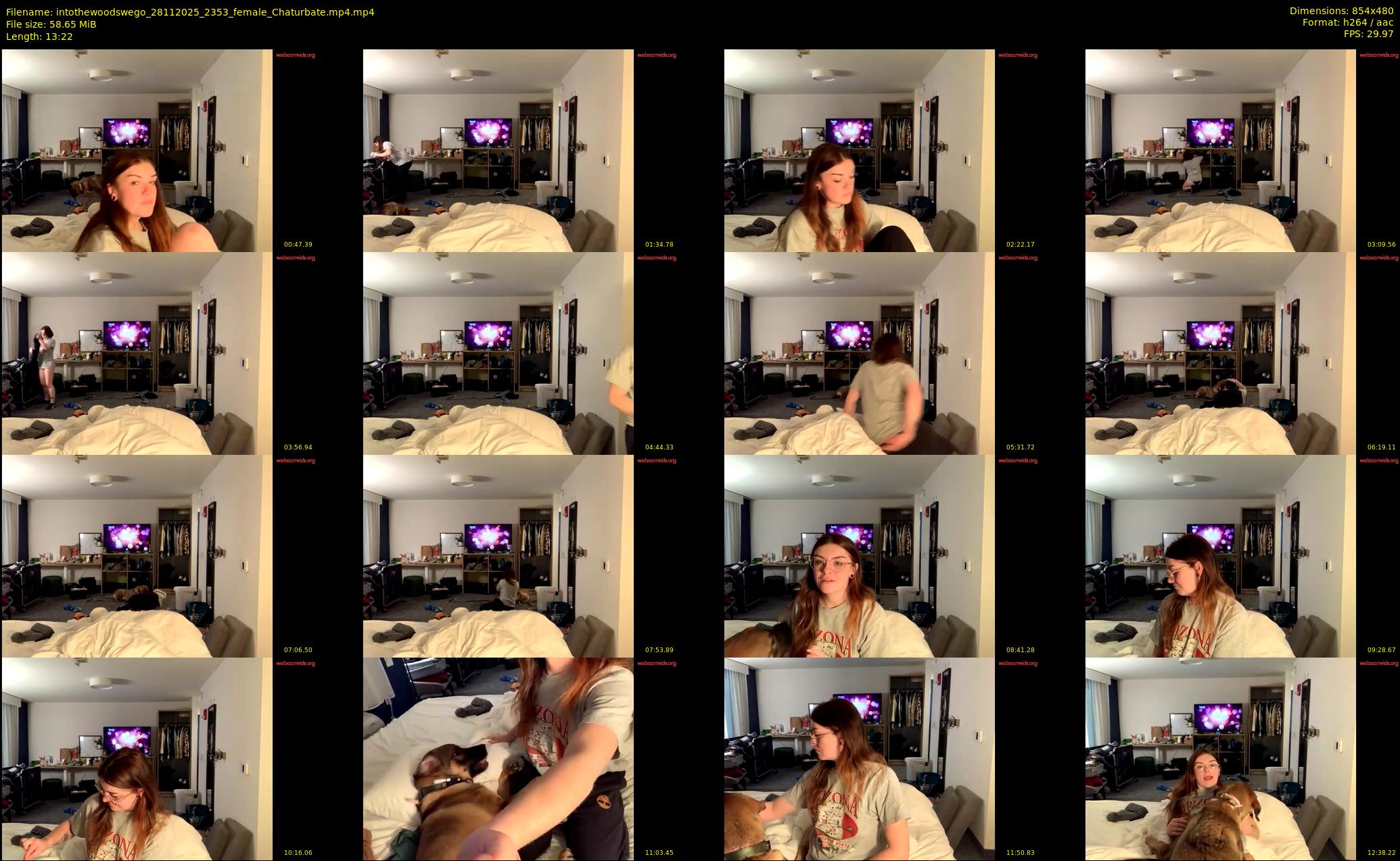 intothewoodswego — 14 minute Chaturbate female cam show recording, 480p, Nov 28, 2025