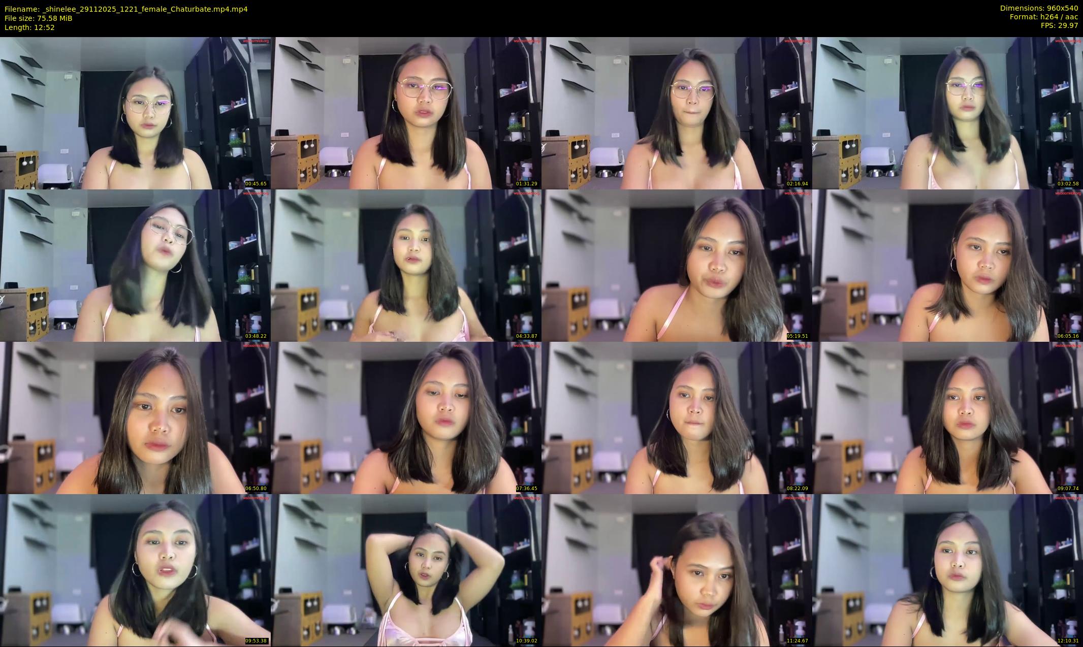 _shinelee — 13 minute Chaturbate female cam show recording, 480p, Nov 29, 2025