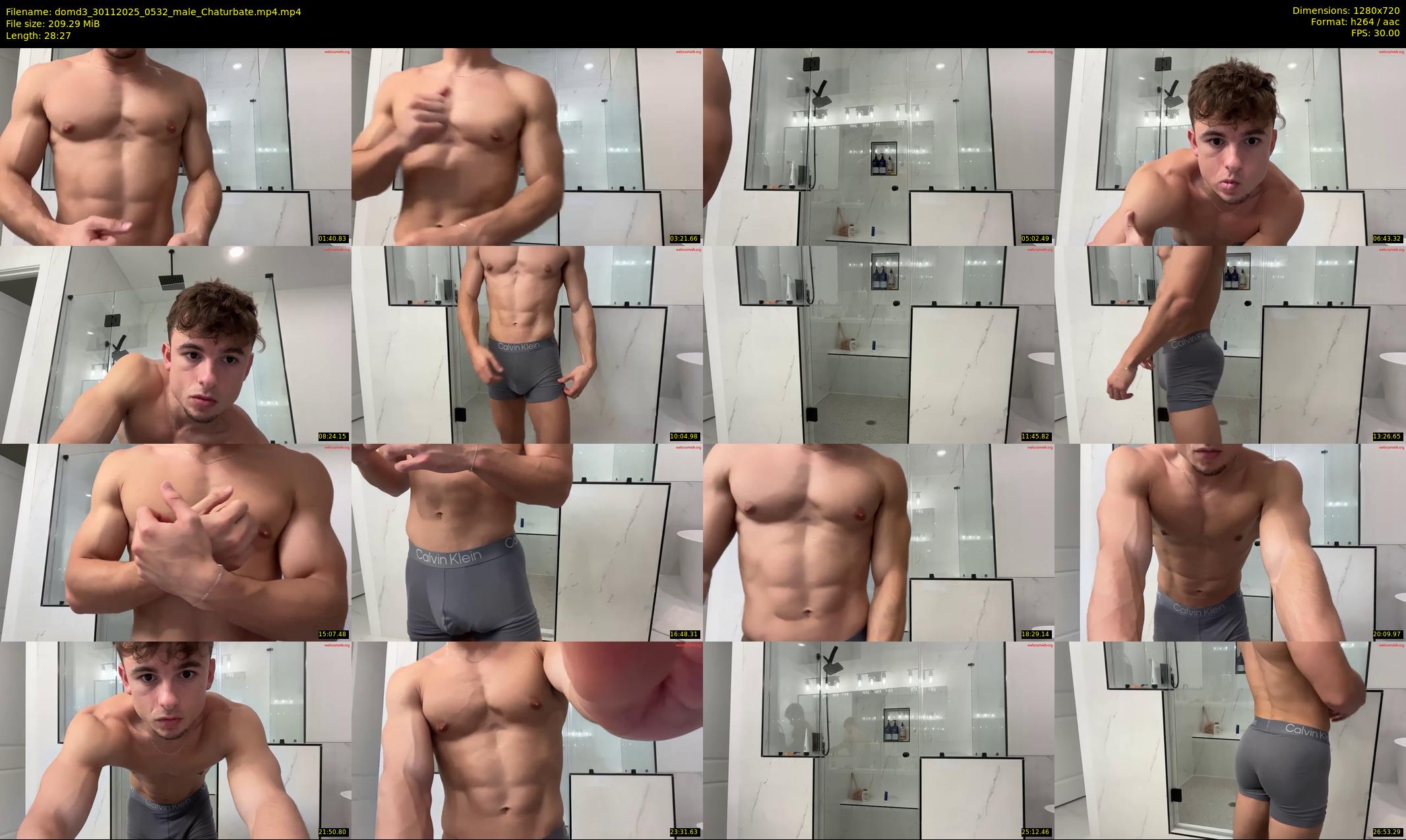 domd3 — 29 minute Chaturbate male cam show recording, 720p, Nov 30, 2025
