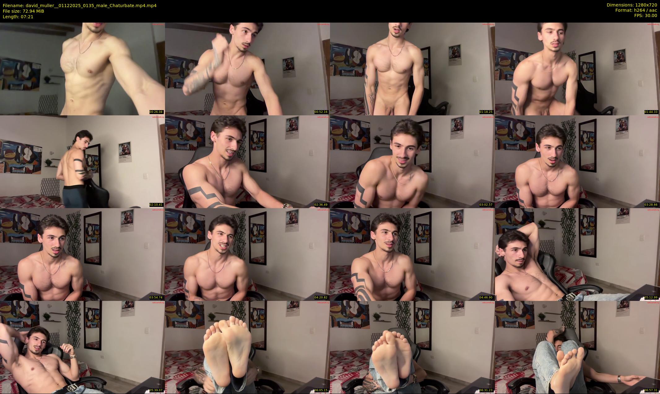 david_muller_ — 8 minute Chaturbate male cam show recording, 720p, Dec 1, 2025