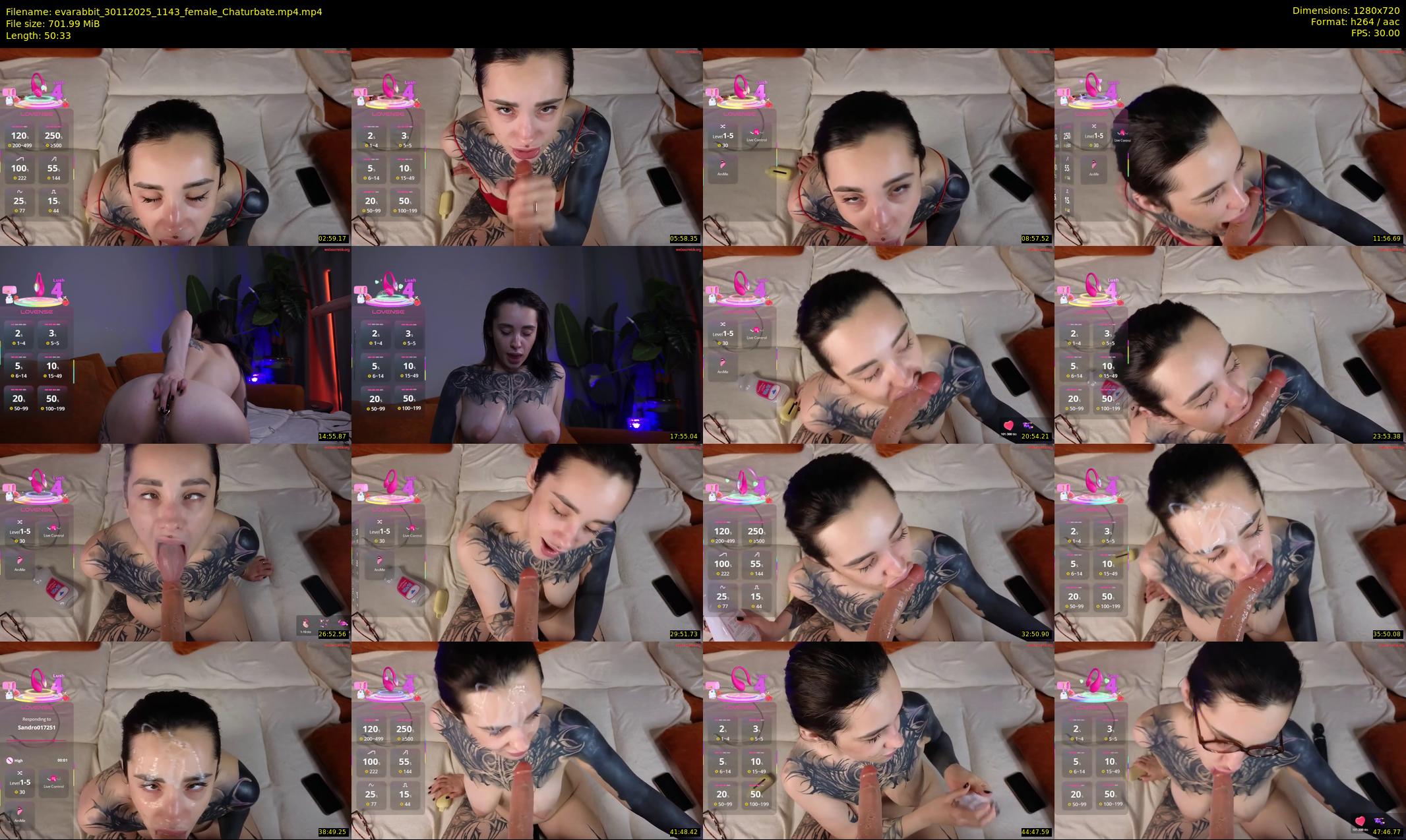 evarabbit — 51 minute Chaturbate female cam show recording, 720p, Nov 30, 2025