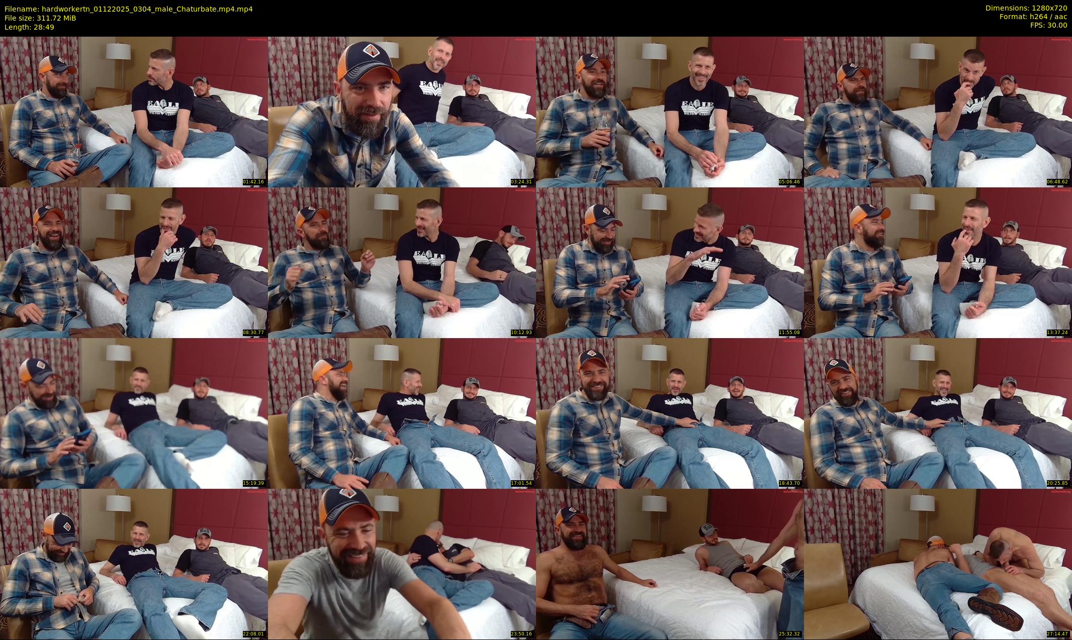 hardworkertn — 29 minute Chaturbate male cam show recording, 720p, Dec 1, 2025