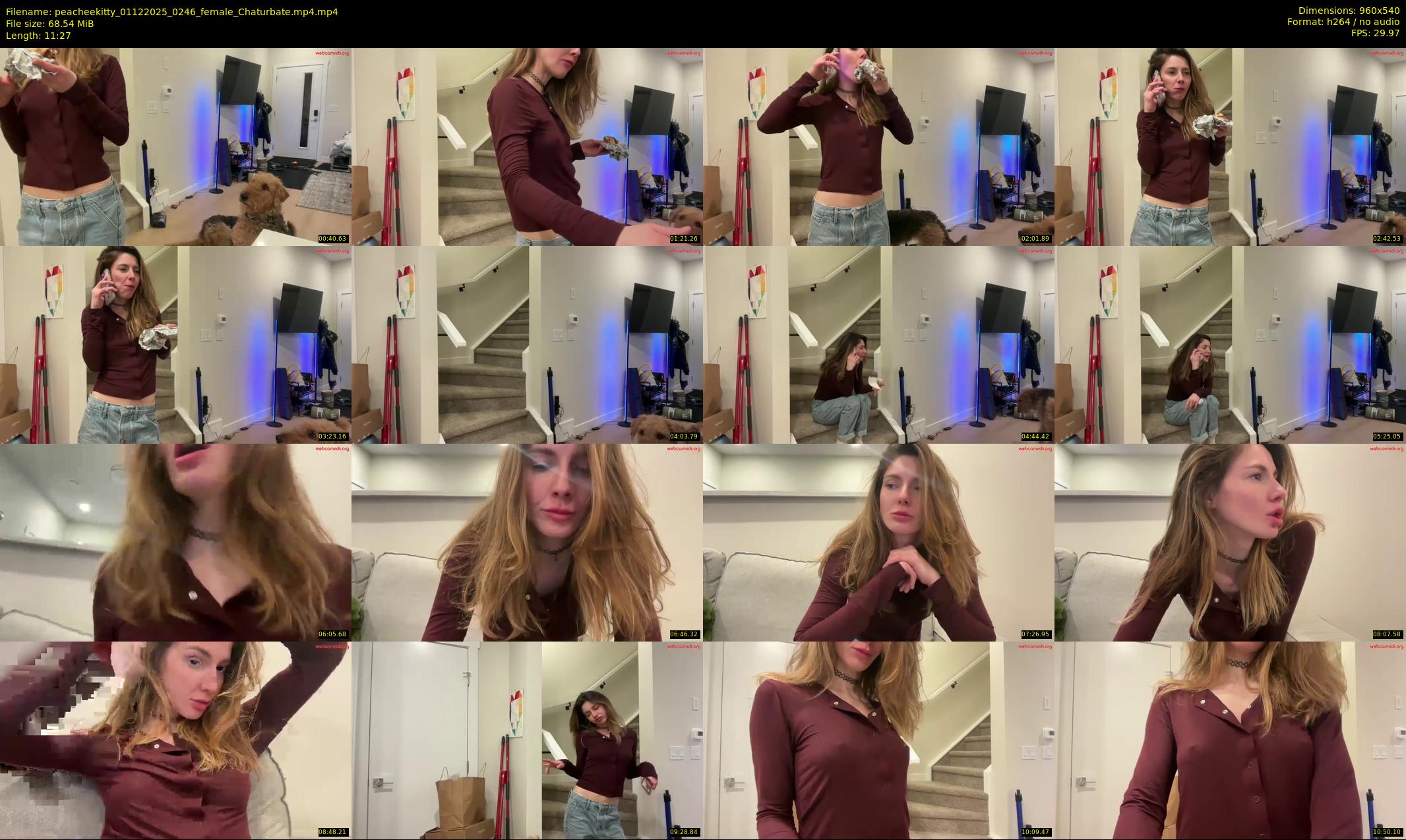 peacheekitty — 12 minute Chaturbate female cam show recording, 480p, Dec 1, 2025