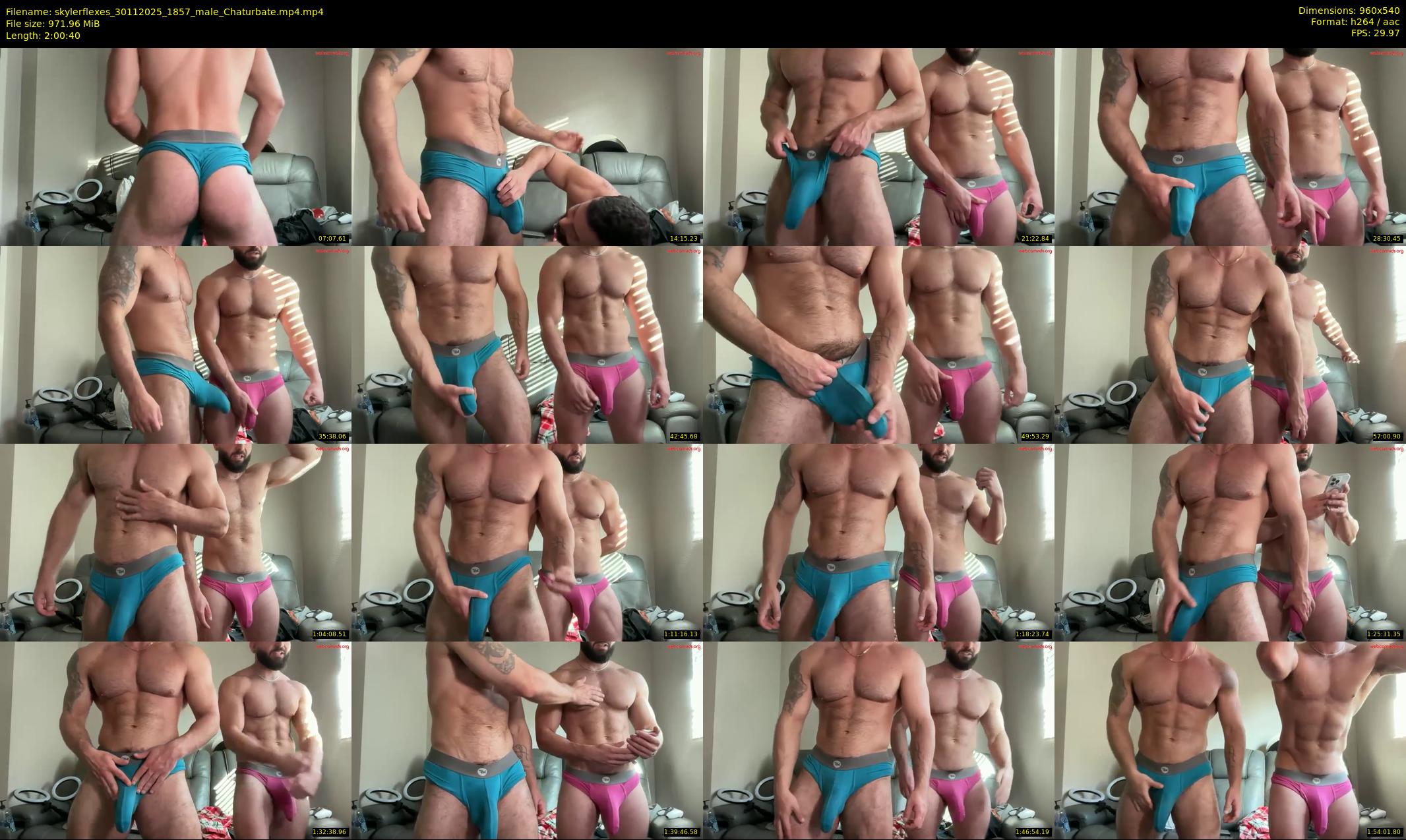 skylerflexes — 121 minute Chaturbate male cam show recording, 480p, Nov 30, 2025