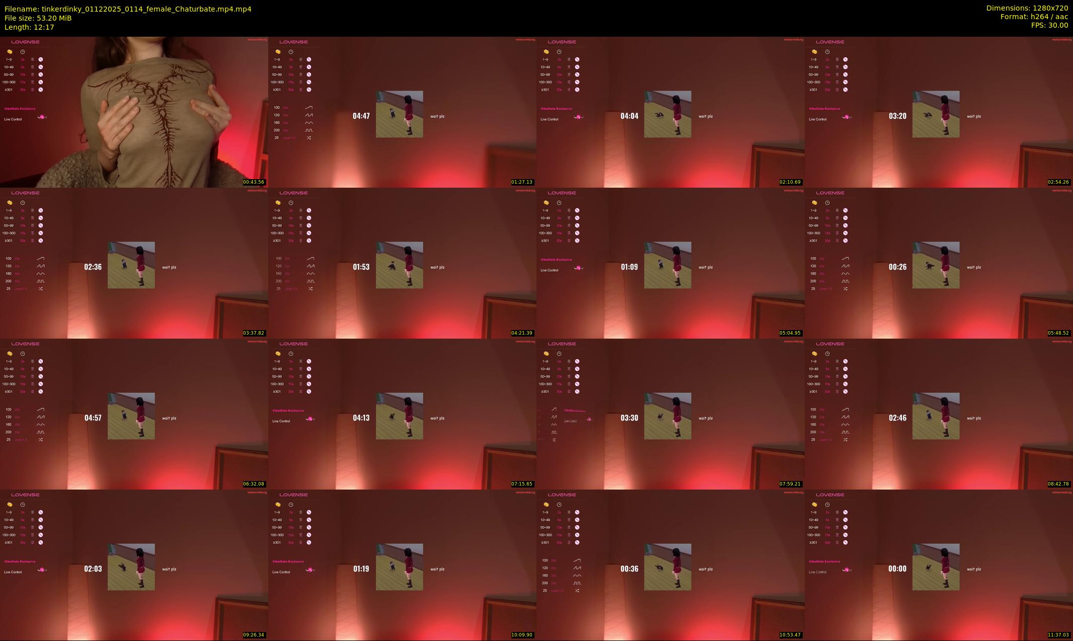 tinkerdinky — 13 minute Chaturbate female cam show recording, 720p, Dec 1, 2025