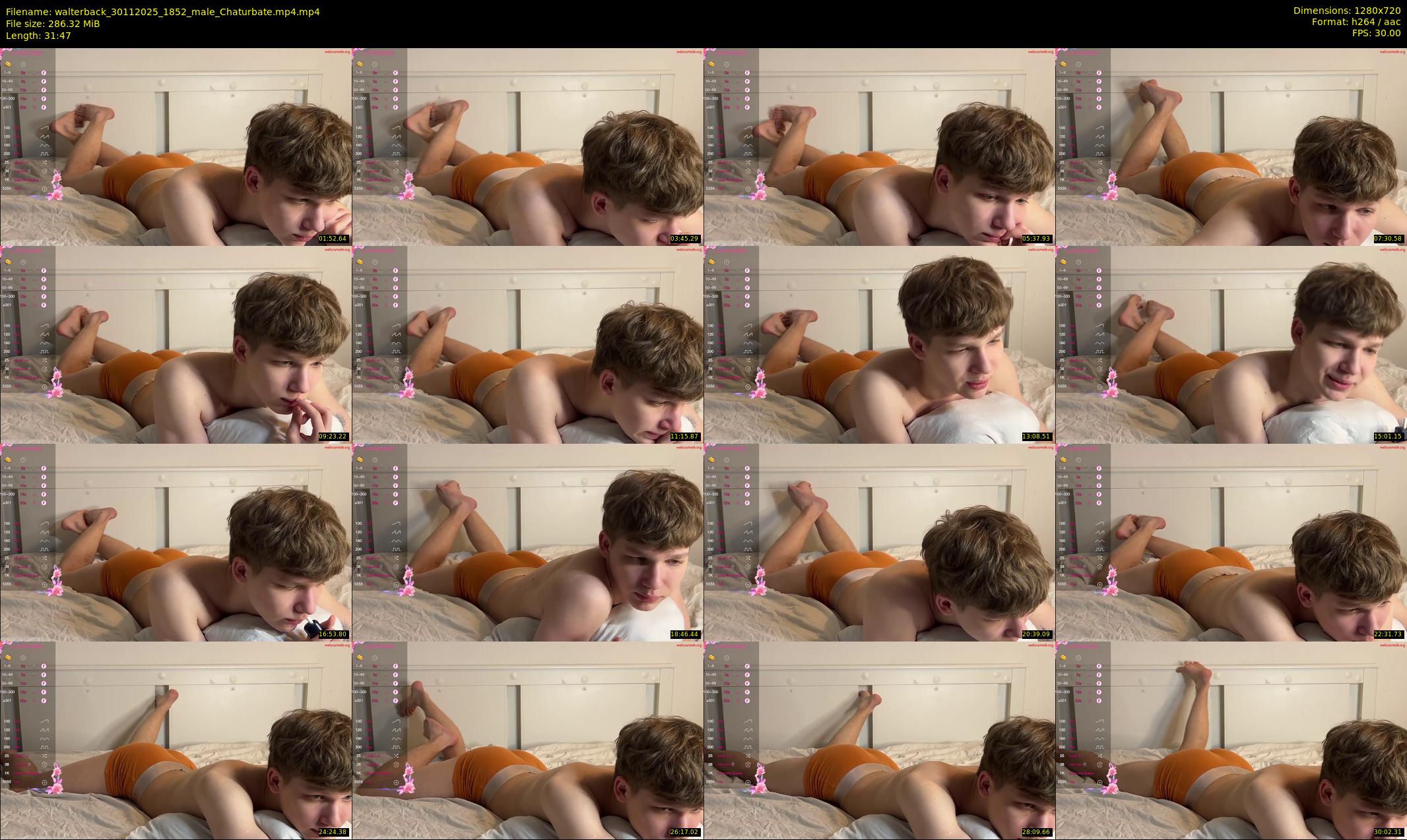 walterback — 32 minute Chaturbate male cam show recording, 720p, Nov 30, 2025