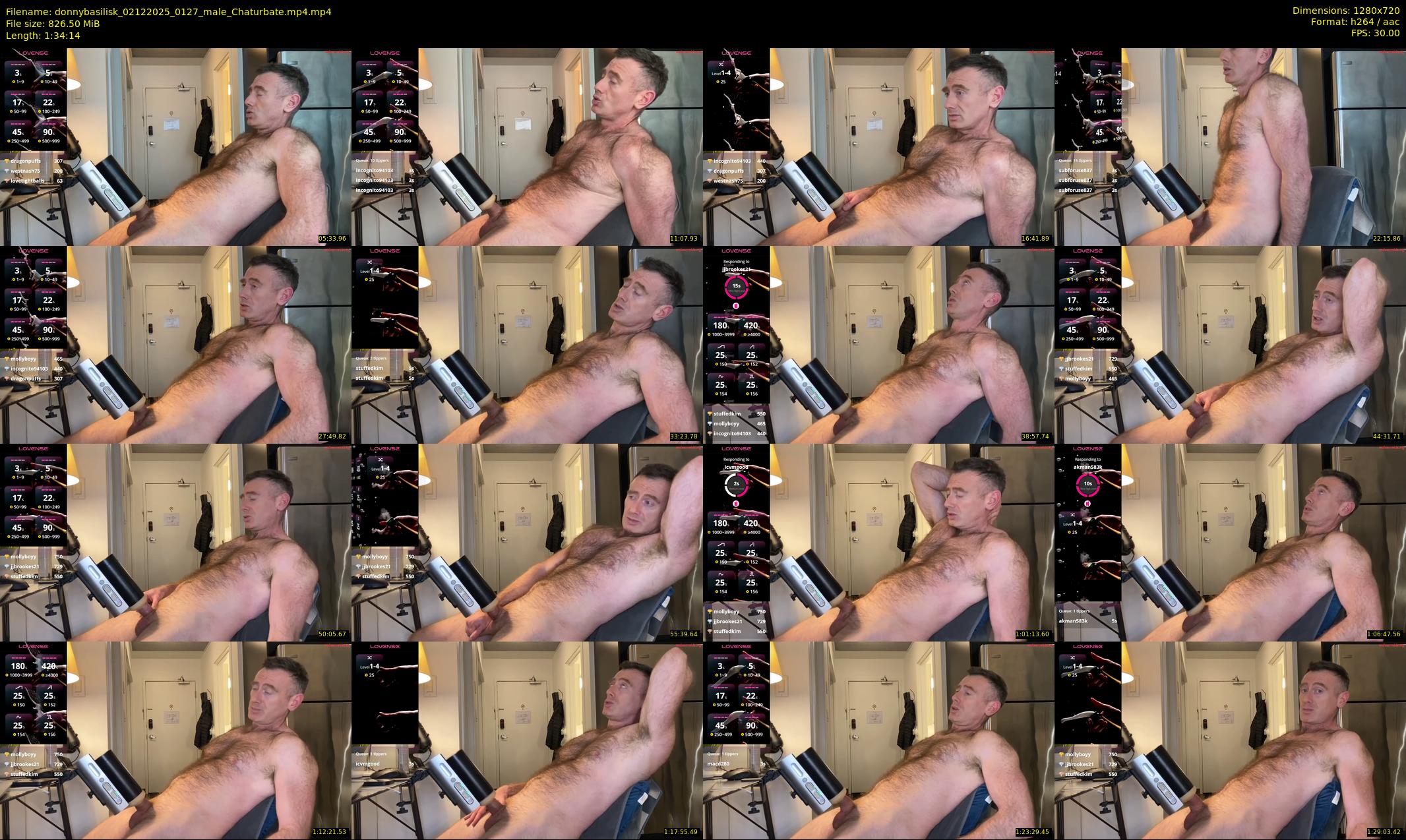 donnybasilisk — 95 minute Chaturbate male cam show recording, 720p, Dec 2, 2025