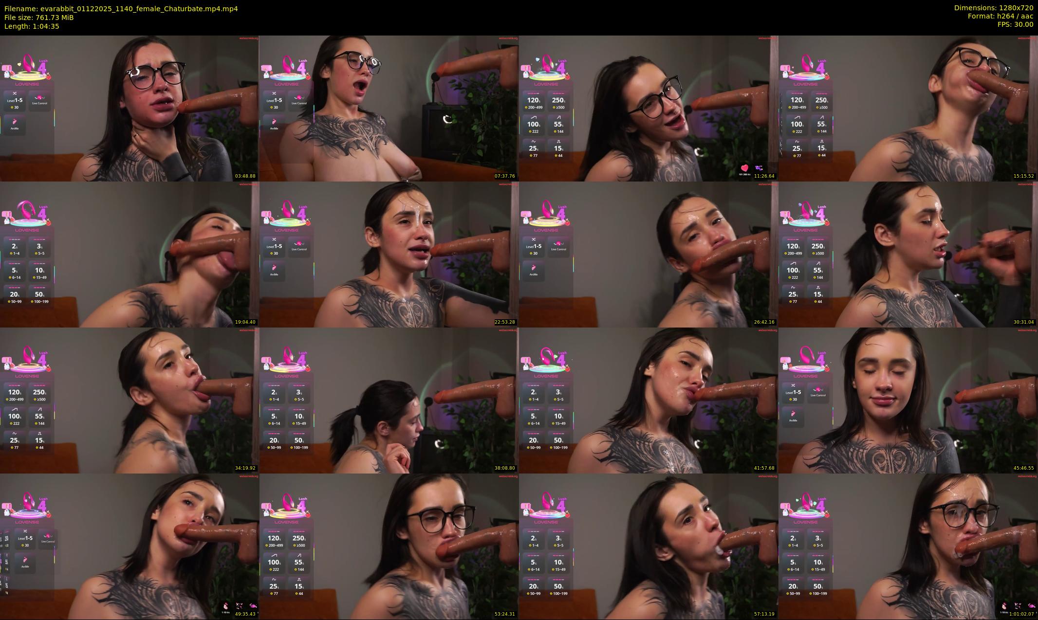 evarabbit — 65 minute Chaturbate female cam show recording, 720p, Dec 1, 2025