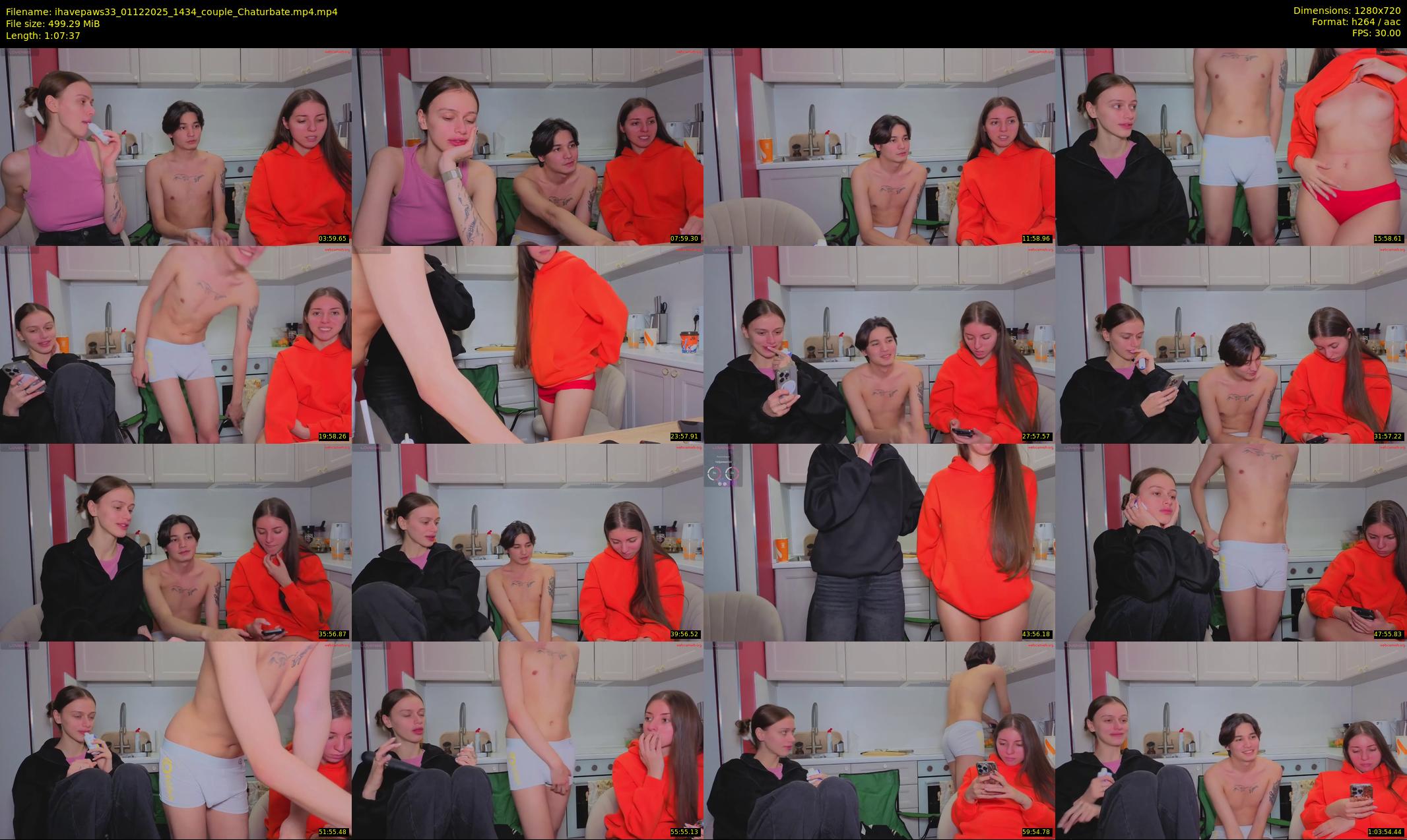 ihavepaws33 — 68 minute Chaturbate couple cam show recording, 720p, Dec 1, 2025
