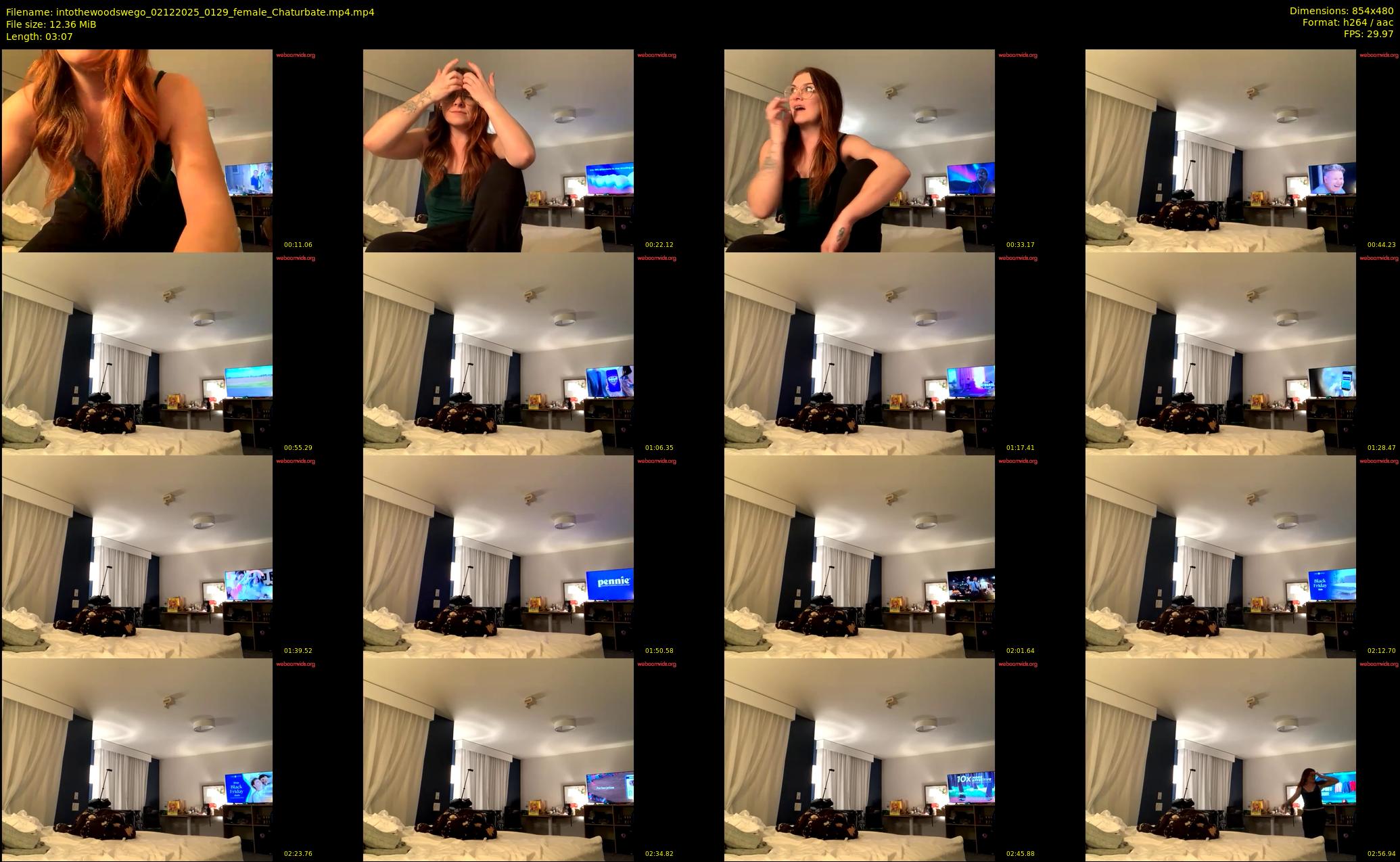 intothewoodswego — 4 minute Chaturbate female cam show recording, 480p, Dec 2, 2025