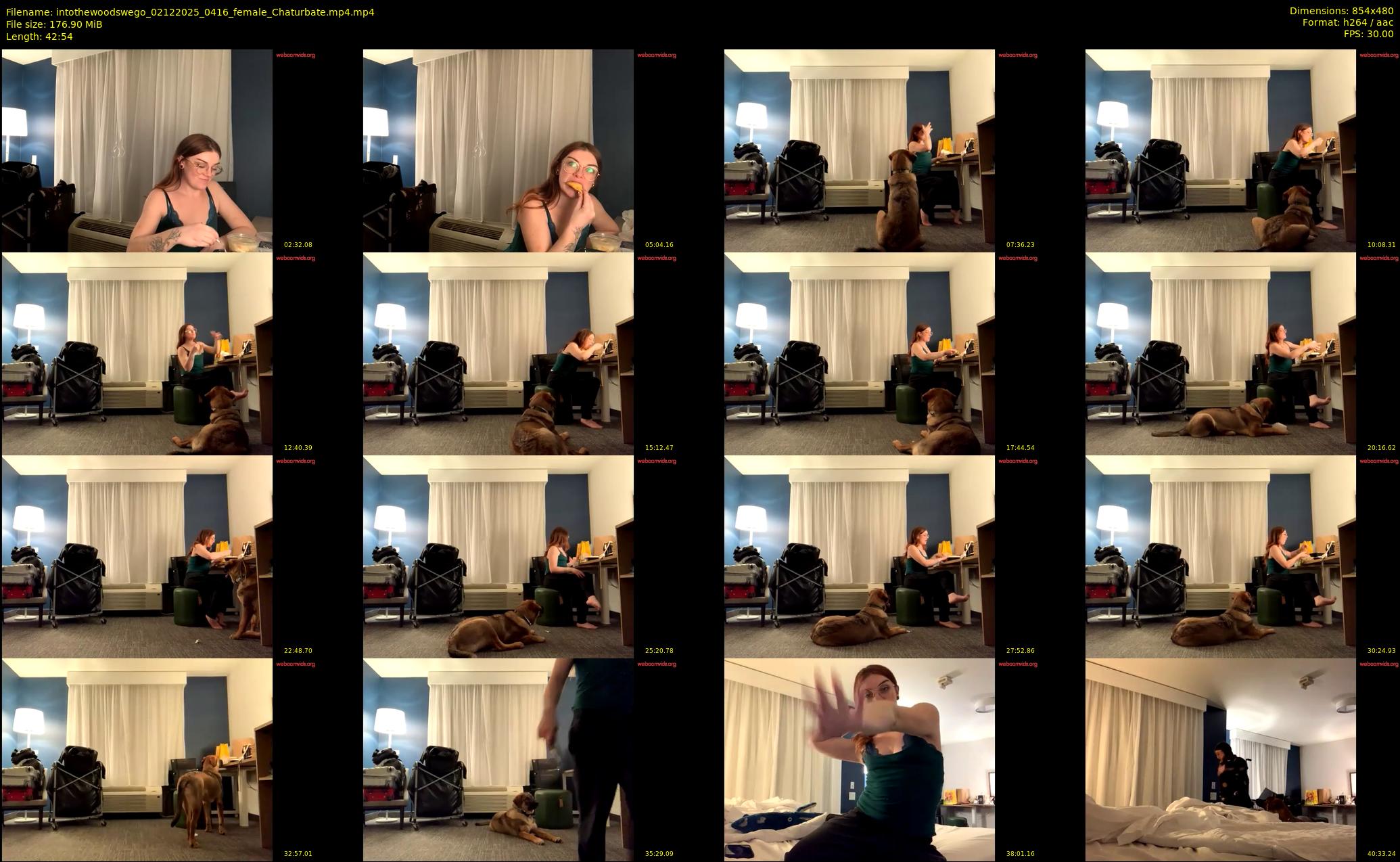 intothewoodswego — 43 minute Chaturbate female cam show recording, 480p, Dec 2, 2025
