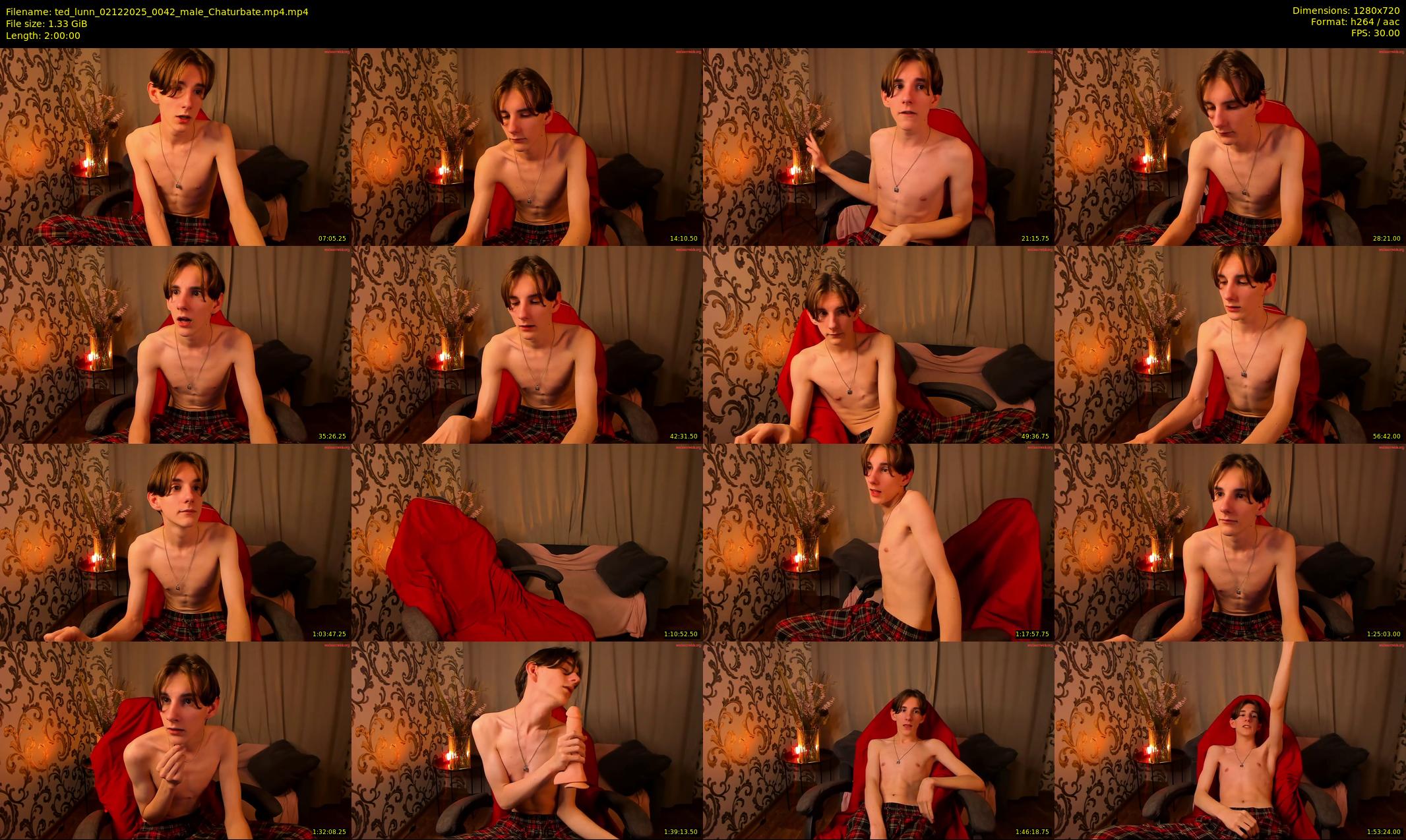 ted_lunn — 120 minute Chaturbate male cam show recording, 720p, Dec 2, 2025