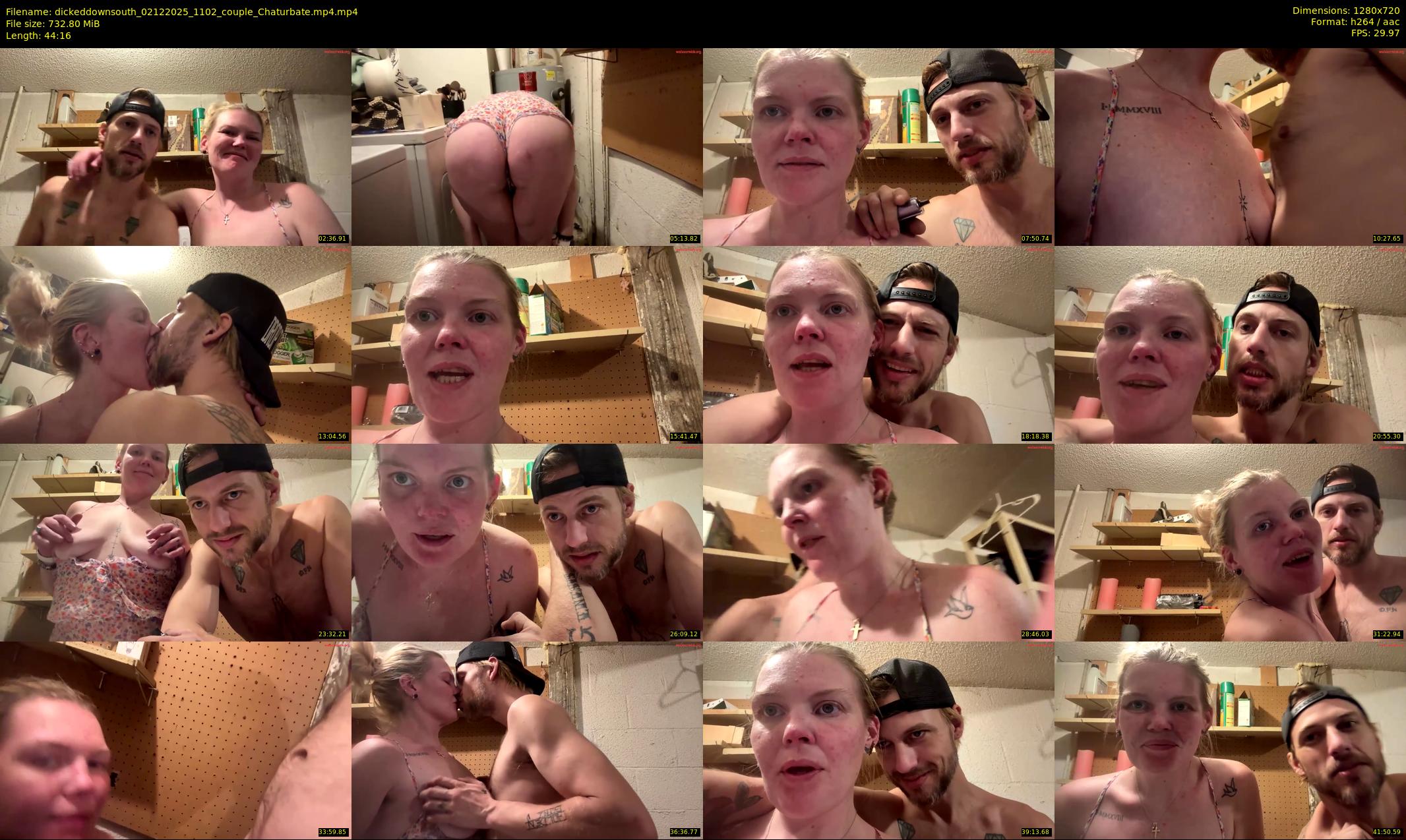 dickeddownsouth — 45 minute Chaturbate couple cam show recording, 720p, Dec 2, 2025