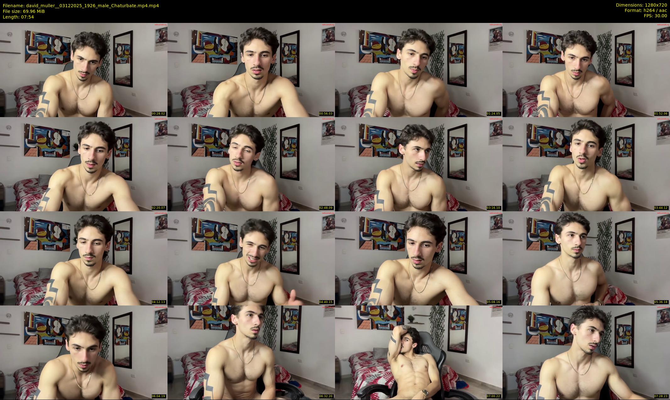 david_muller_ — 8 minute Chaturbate male cam show recording, 720p, Dec 3, 2025