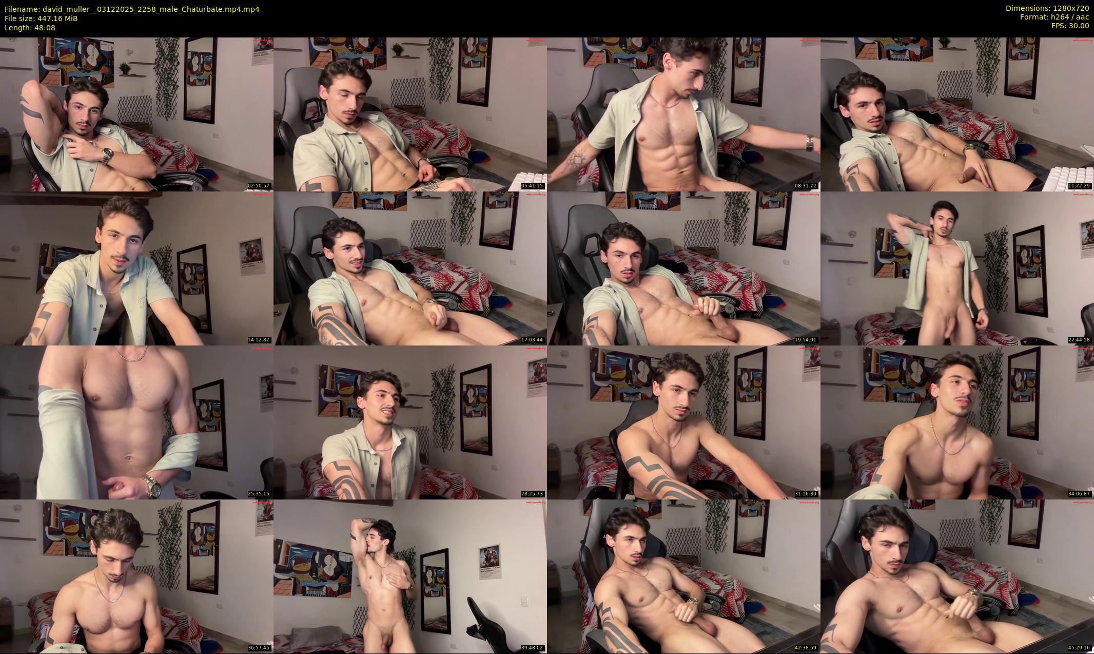 david_muller_ — 49 minute Chaturbate male cam show recording, 720p, Dec 3, 2025