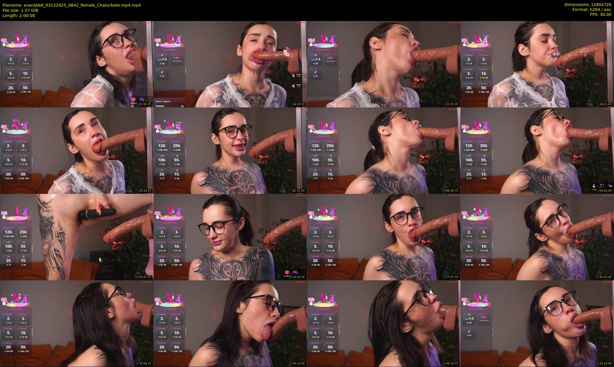 evarabbit — 120 minute Chaturbate female cam show recording, 720p, Dec 3, 2025